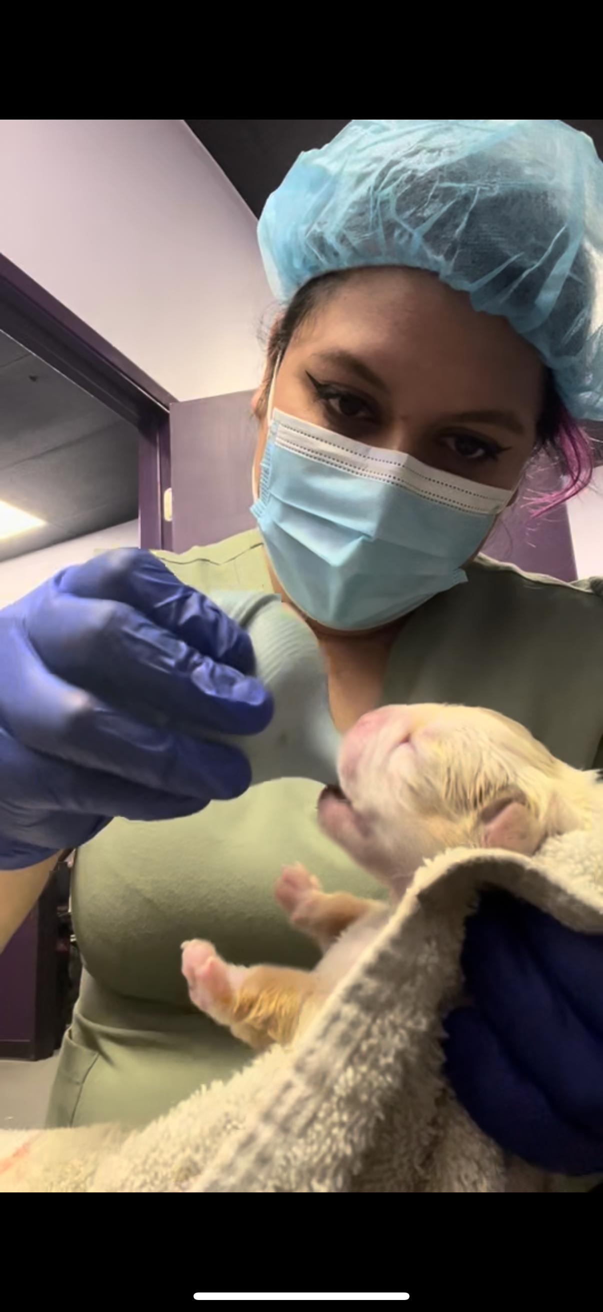 Fund Alma Diaz's Vet School Journey campaign photo, 4 of 7