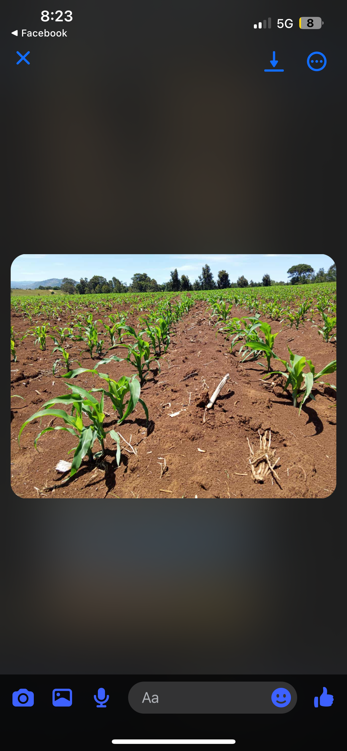 Help hard working farmer Isaac replant next years crops. campaign photo, 4 of 8