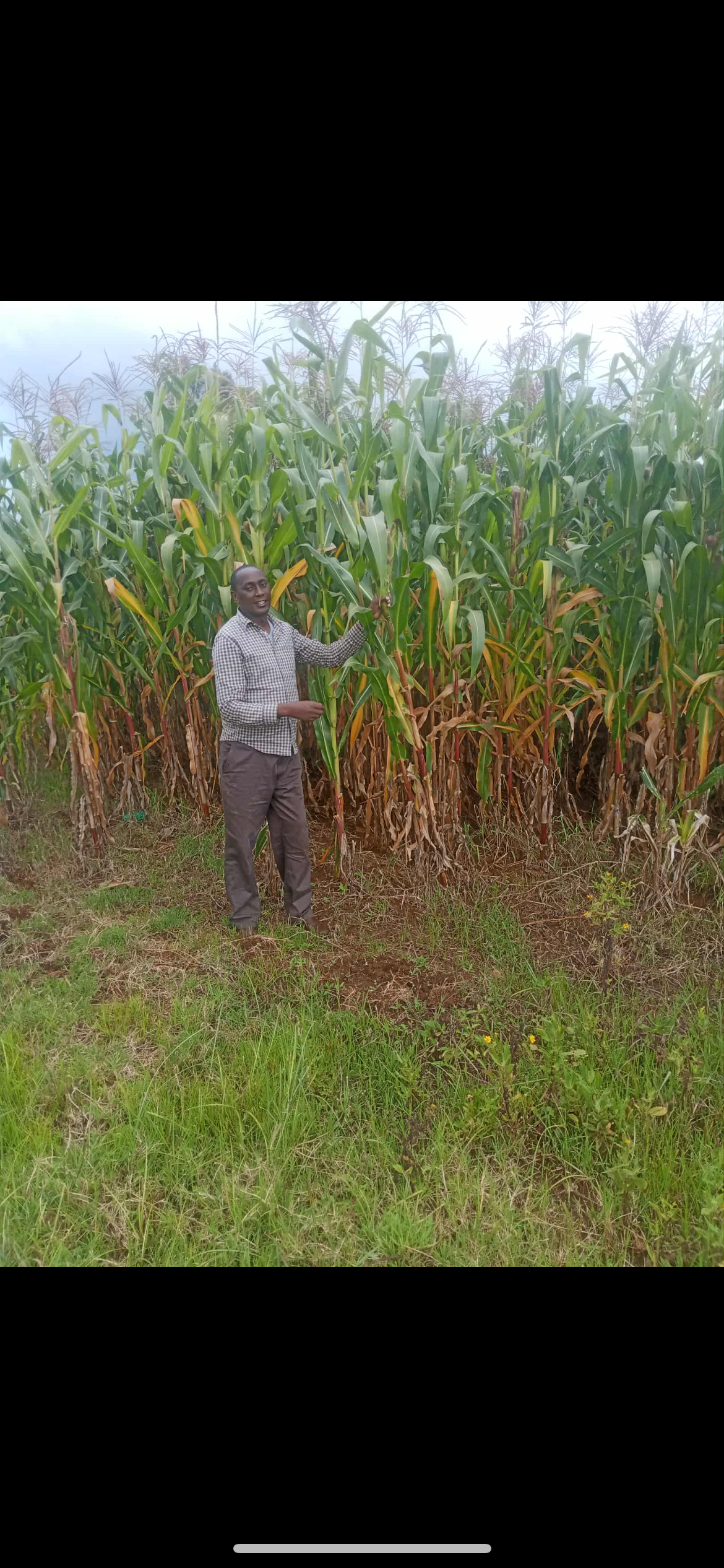 Help hard working farmer Isaac replant next years crops. campaign photo, 5 of 8