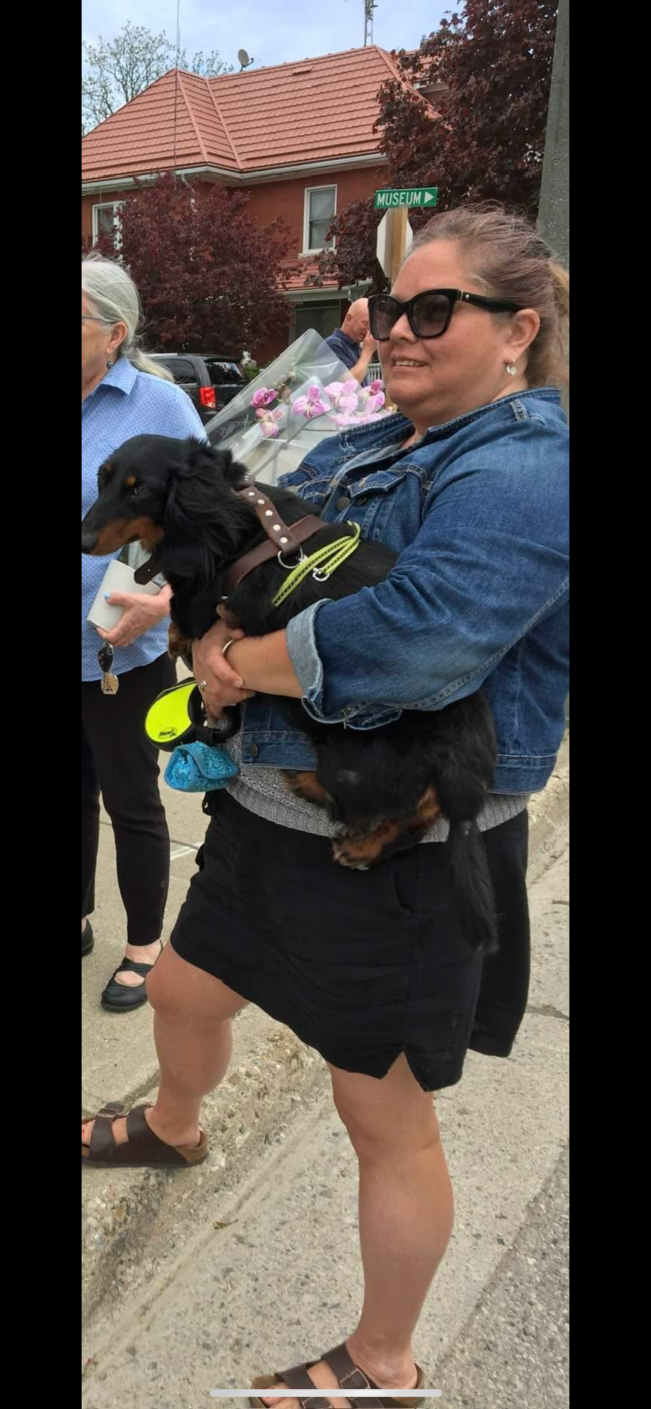 Winston journey across the Rainbow Bridge campaign photo, 4 of 7