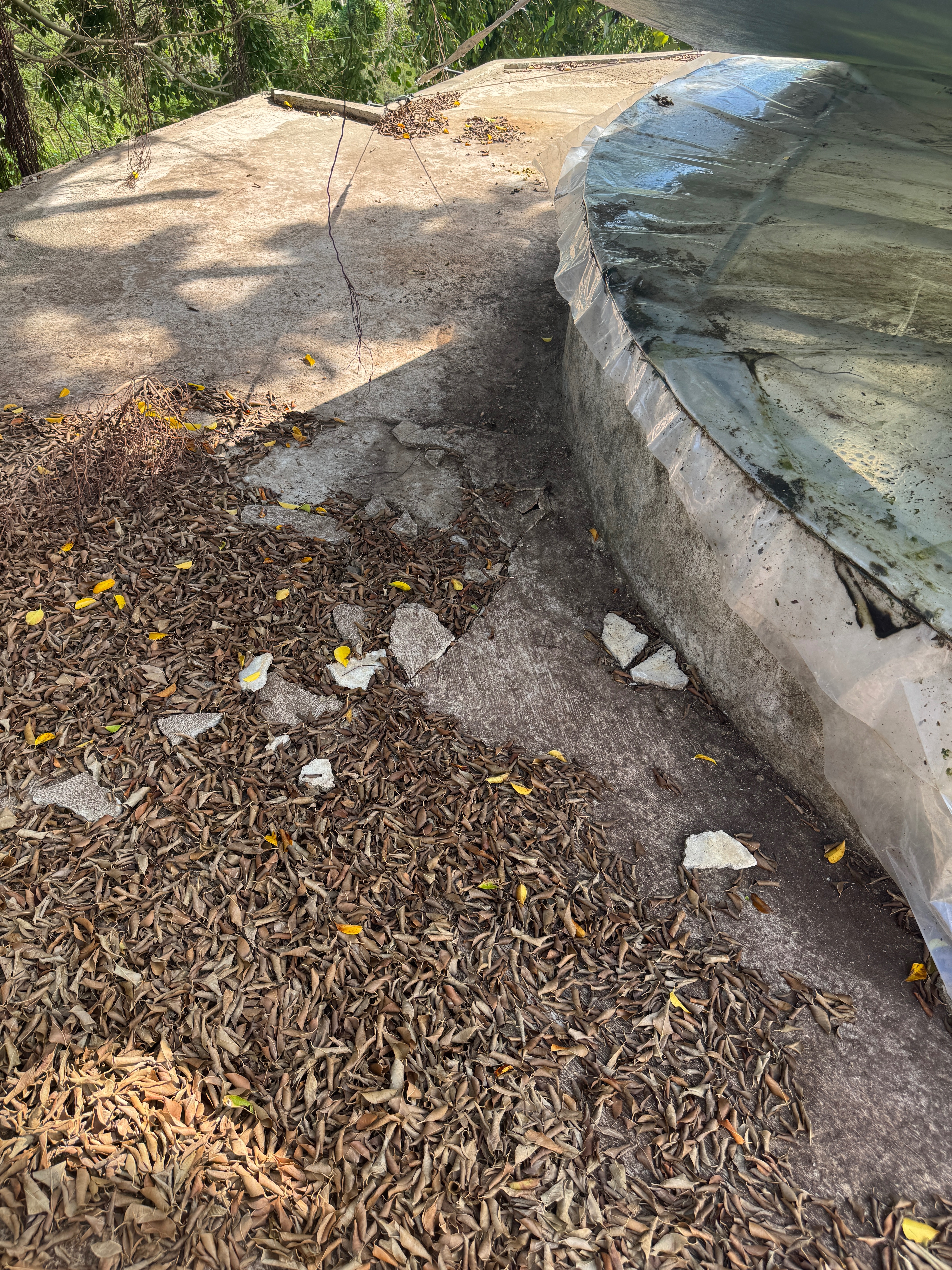 Help Lenny Rebuild After Hurricane Melissa campaign photo, 6 of 8