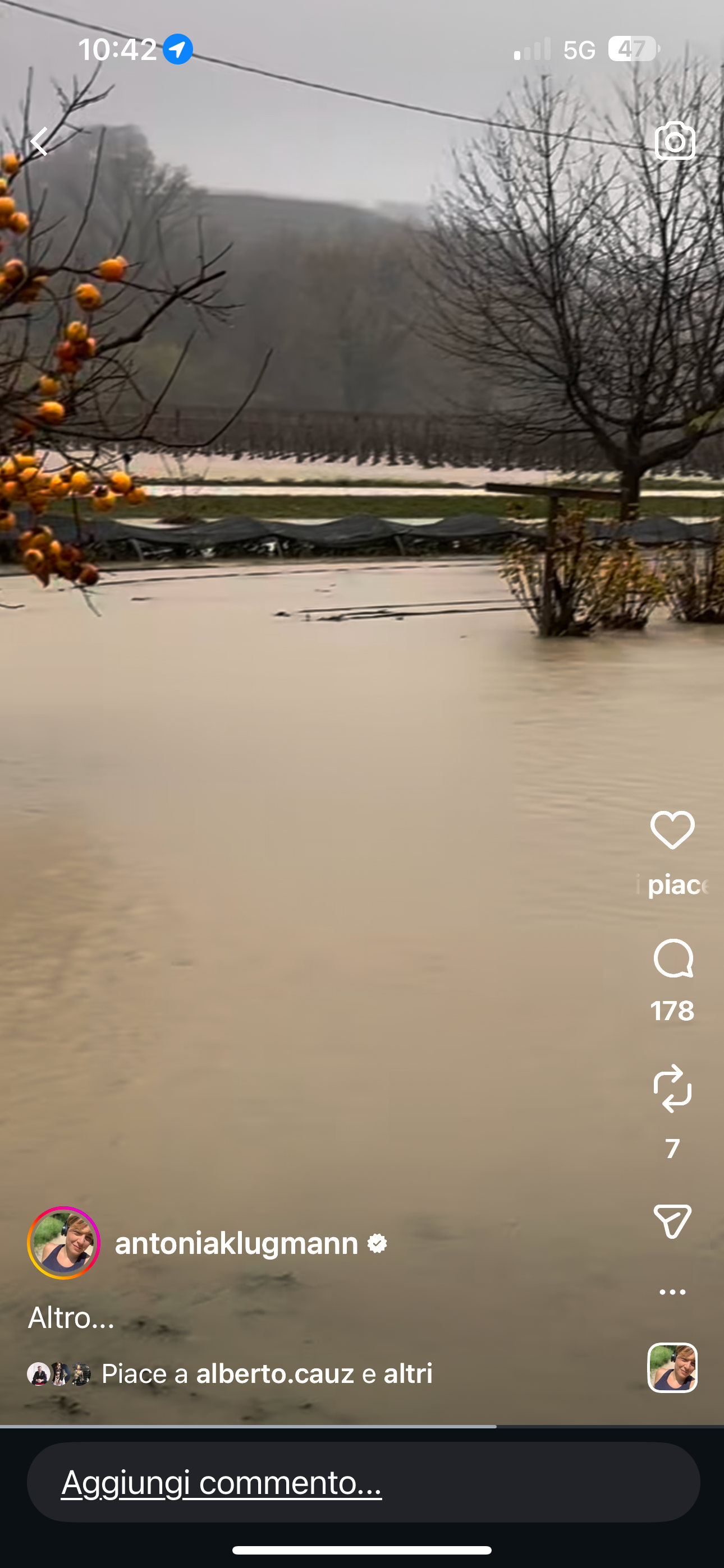 Immagine caricata dall'utente 1