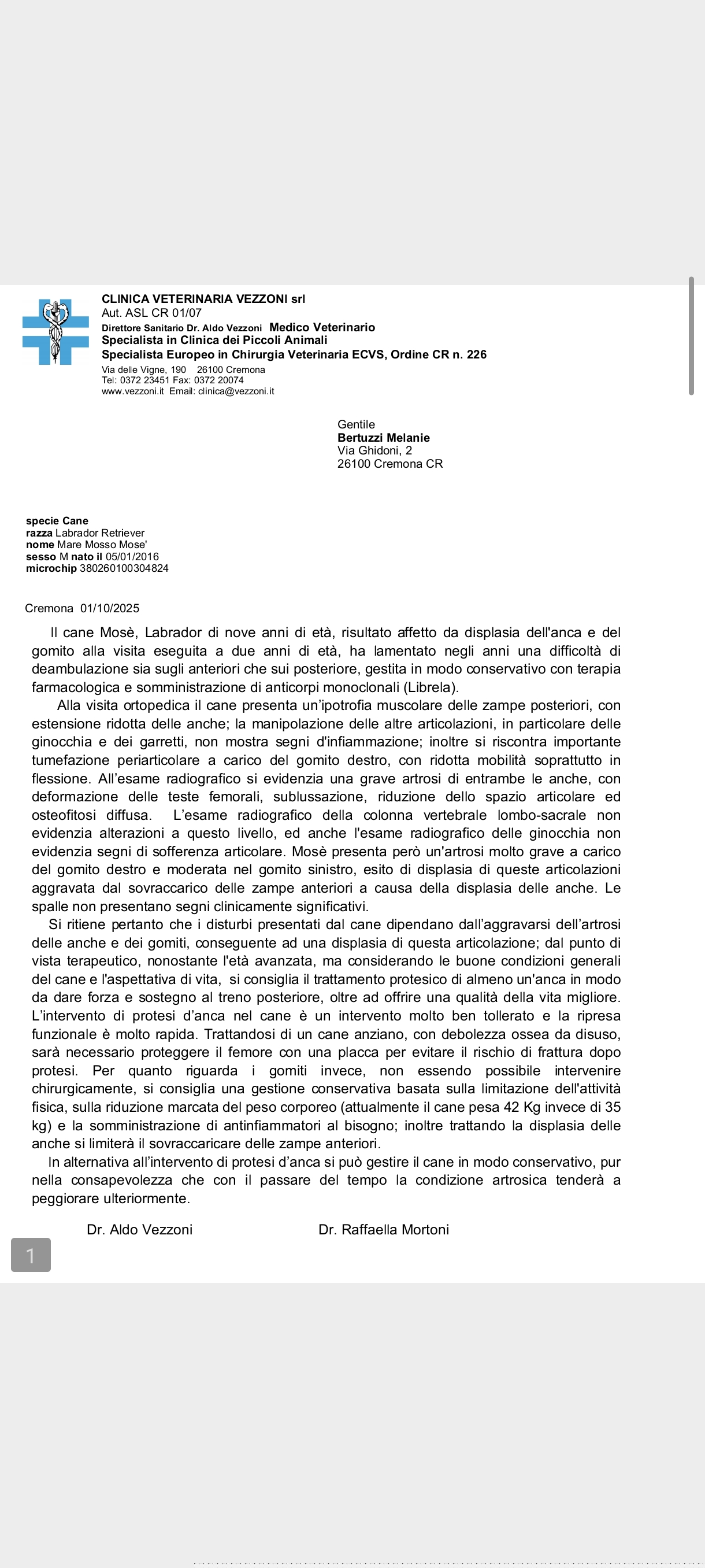 Protesi alle anche per Mosè campaign photo, 4 of 8