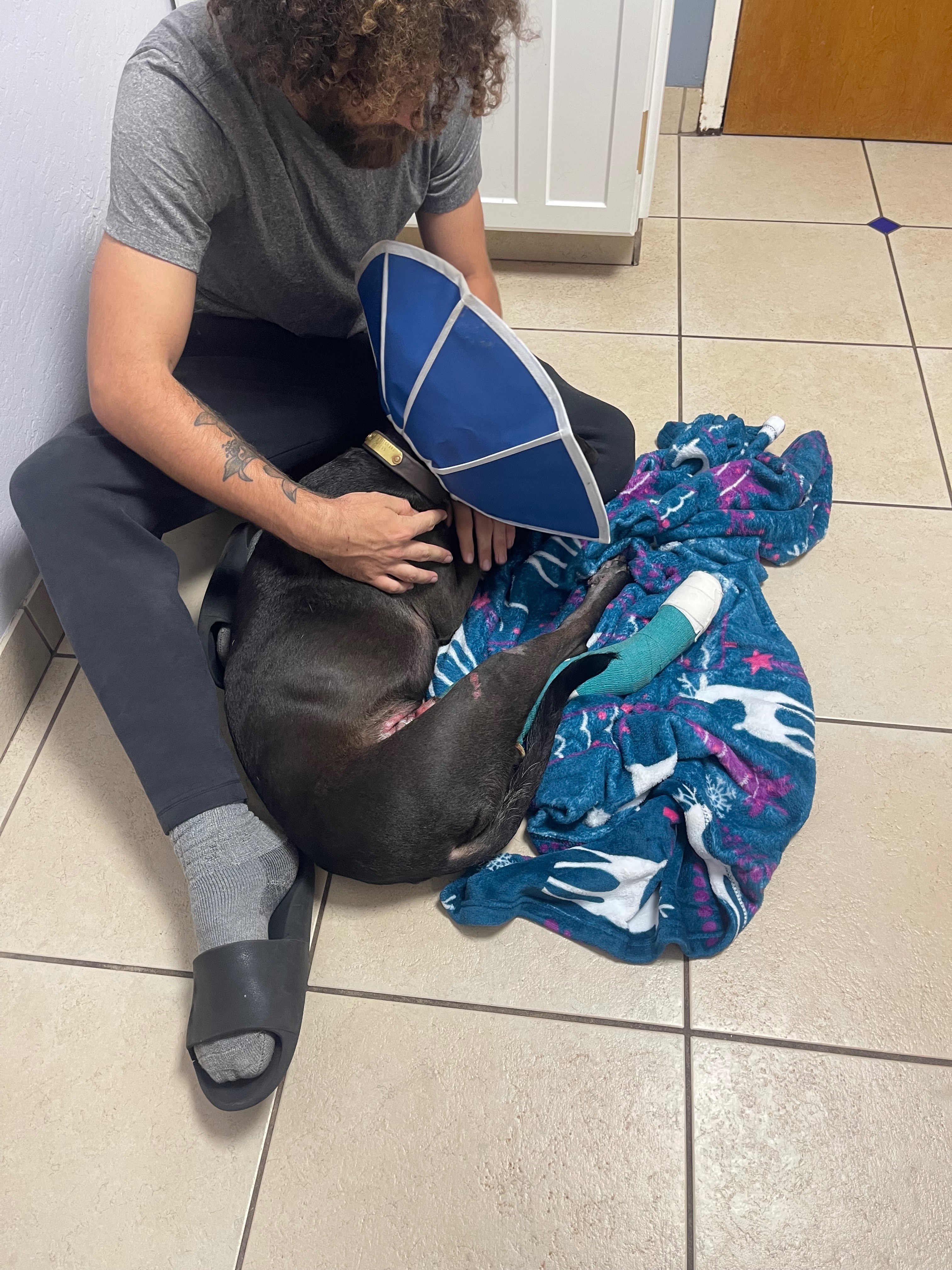 Help Cooper Walk Again: Support His Surgery campaign photo, 6 of 8