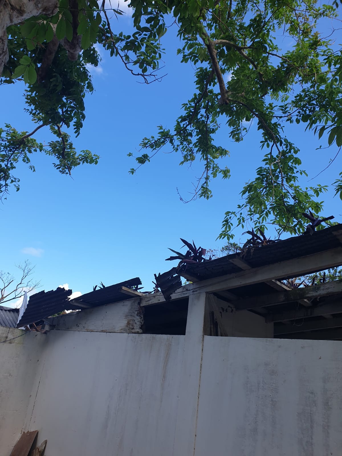 Help Angella Save Her Home After Hurricane Melissa campaign photo, 5 of 6