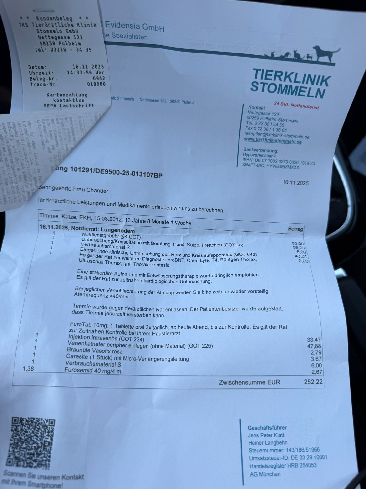 Spende für Timmies Tierarzt Kosten und Beerdigung campaign photo, 4 of 8