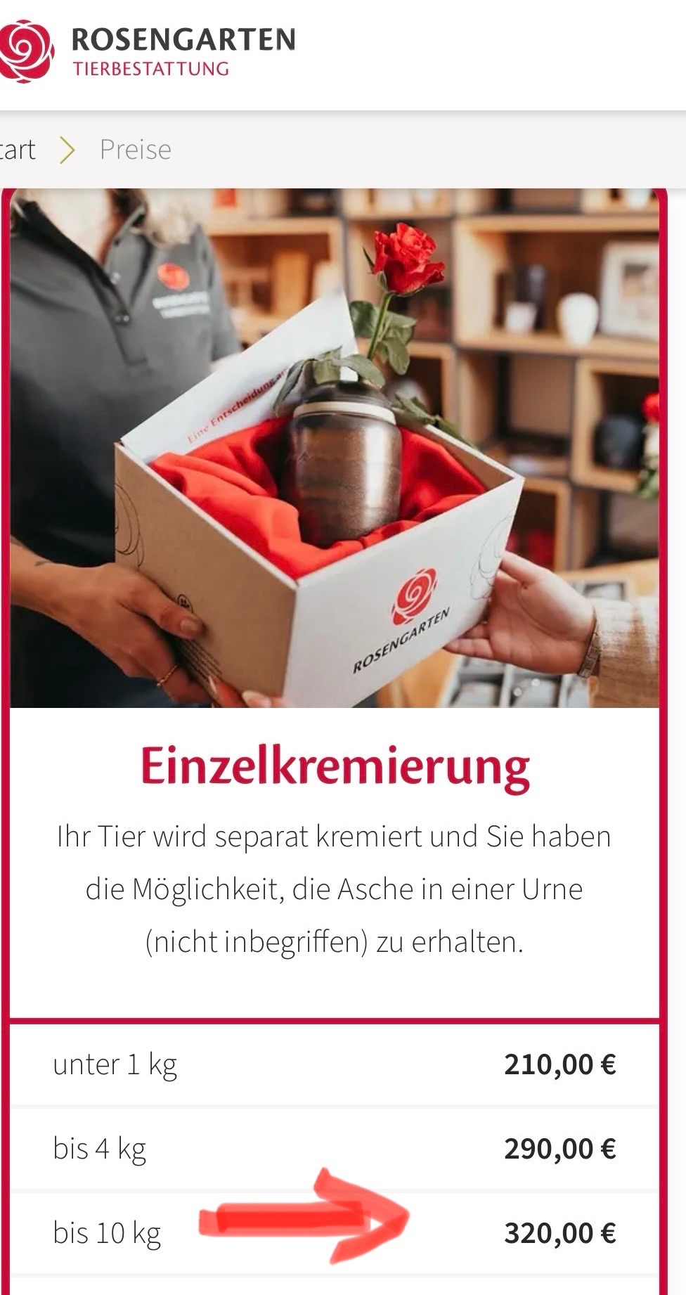 Spende für Timmies Tierarzt Kosten und Beerdigung campaign photo, 6 of 8