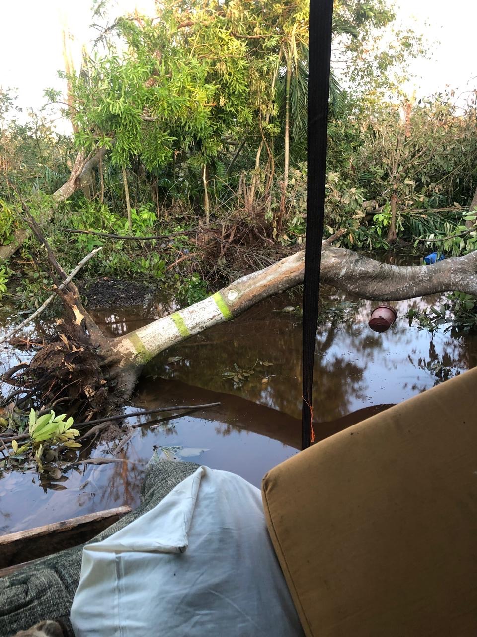 Support Danielle K. Grant's Family After Hurricane campaign photo, 2 of 4