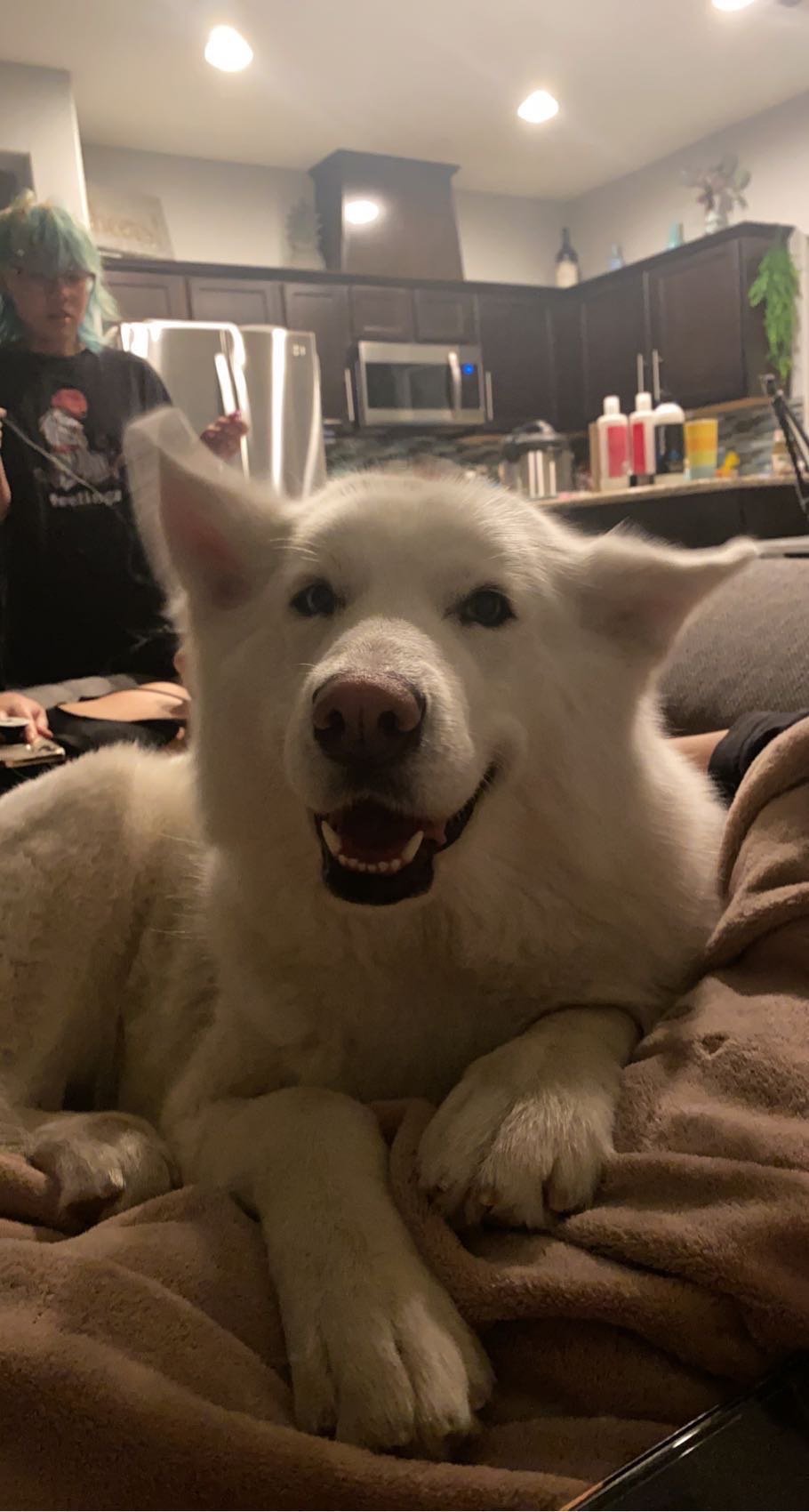 Save Luna from Paralysis: Donate Now campaign photo, 2 of 8
