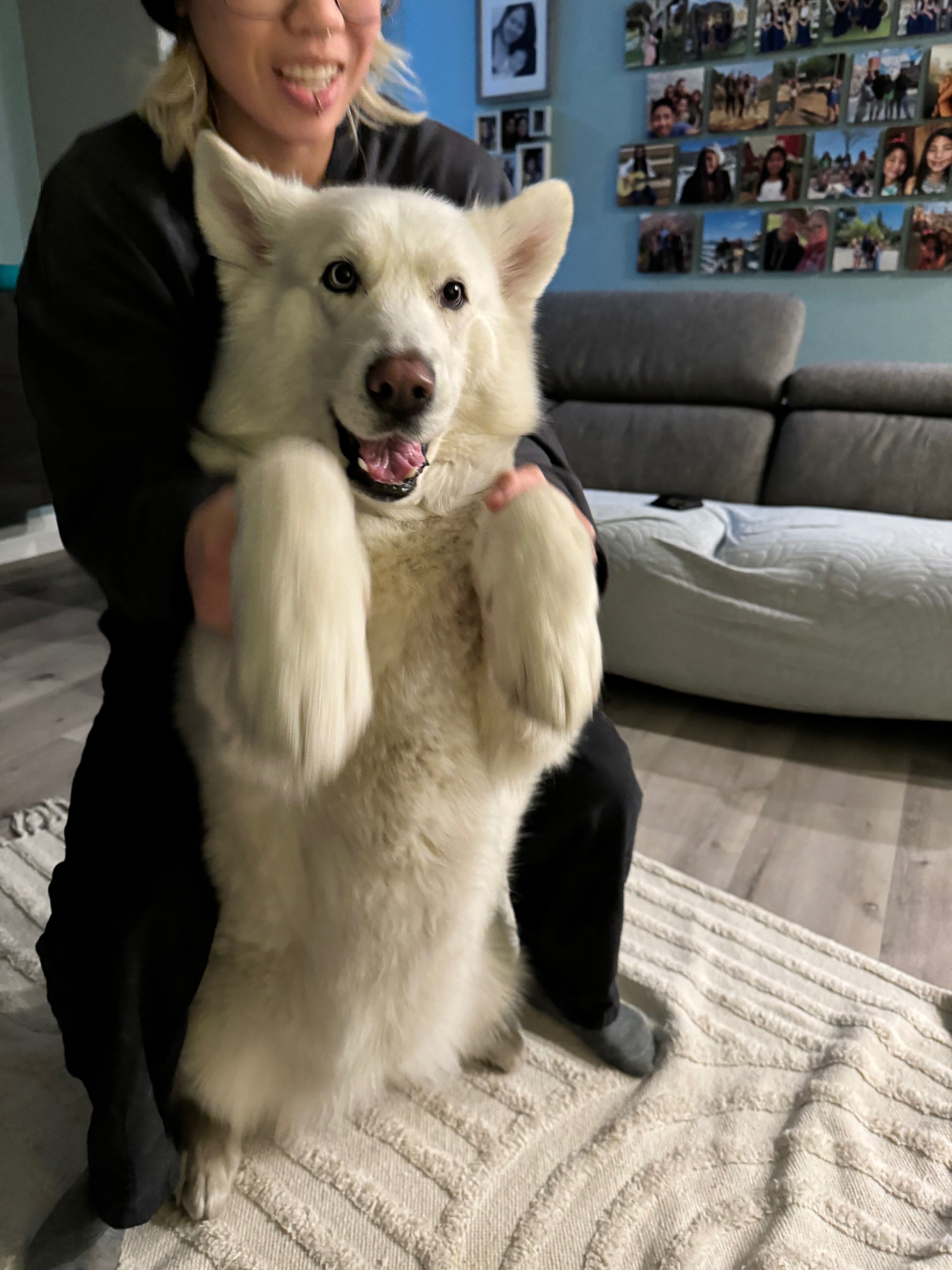 Save Luna from Paralysis: Donate Now campaign photo, 6 of 8