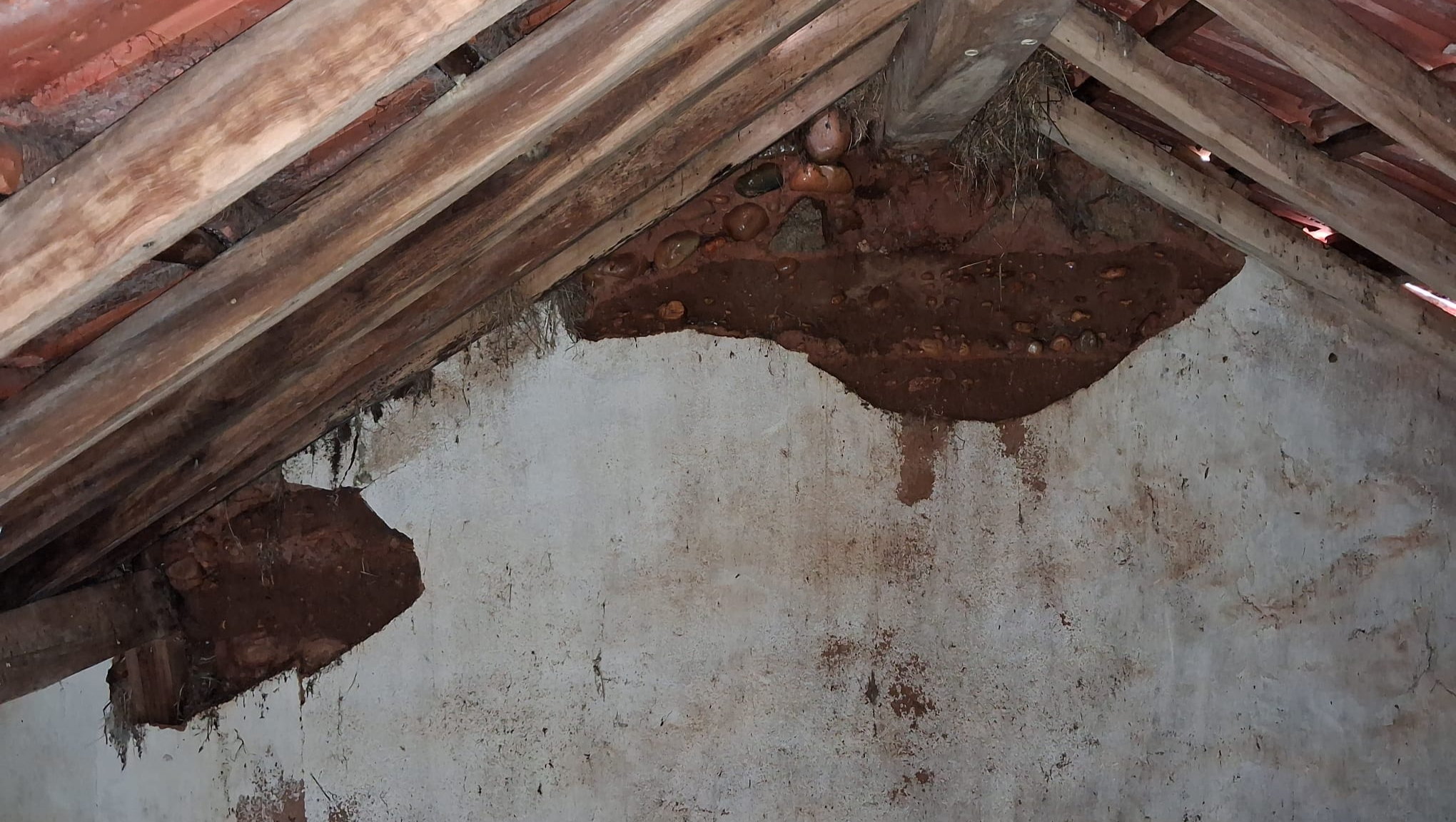 Reconstrução do meu telhado após as tempestades photo