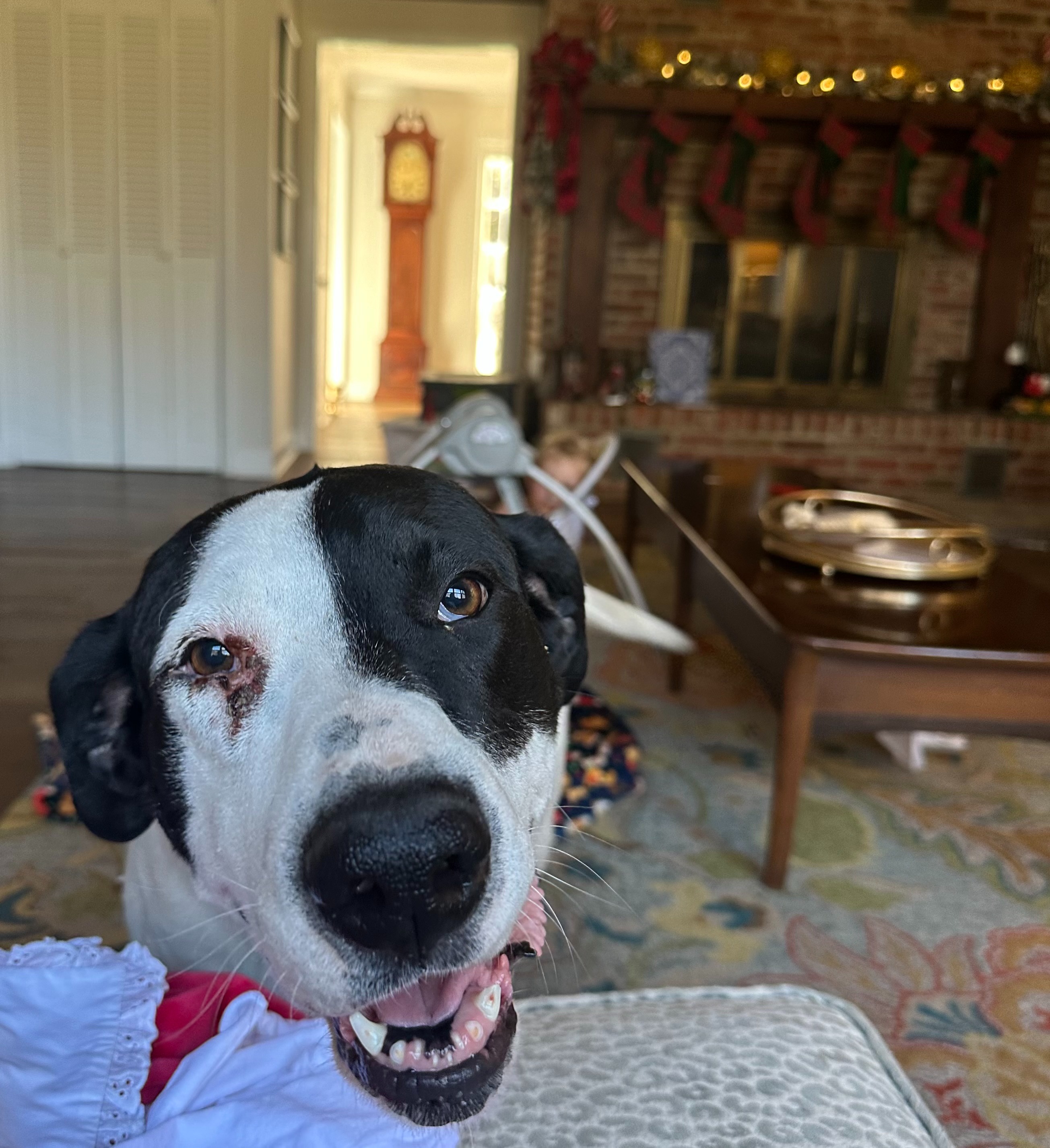 Support Lucy's Journey to Health and Love campaign photo, 6 of 8