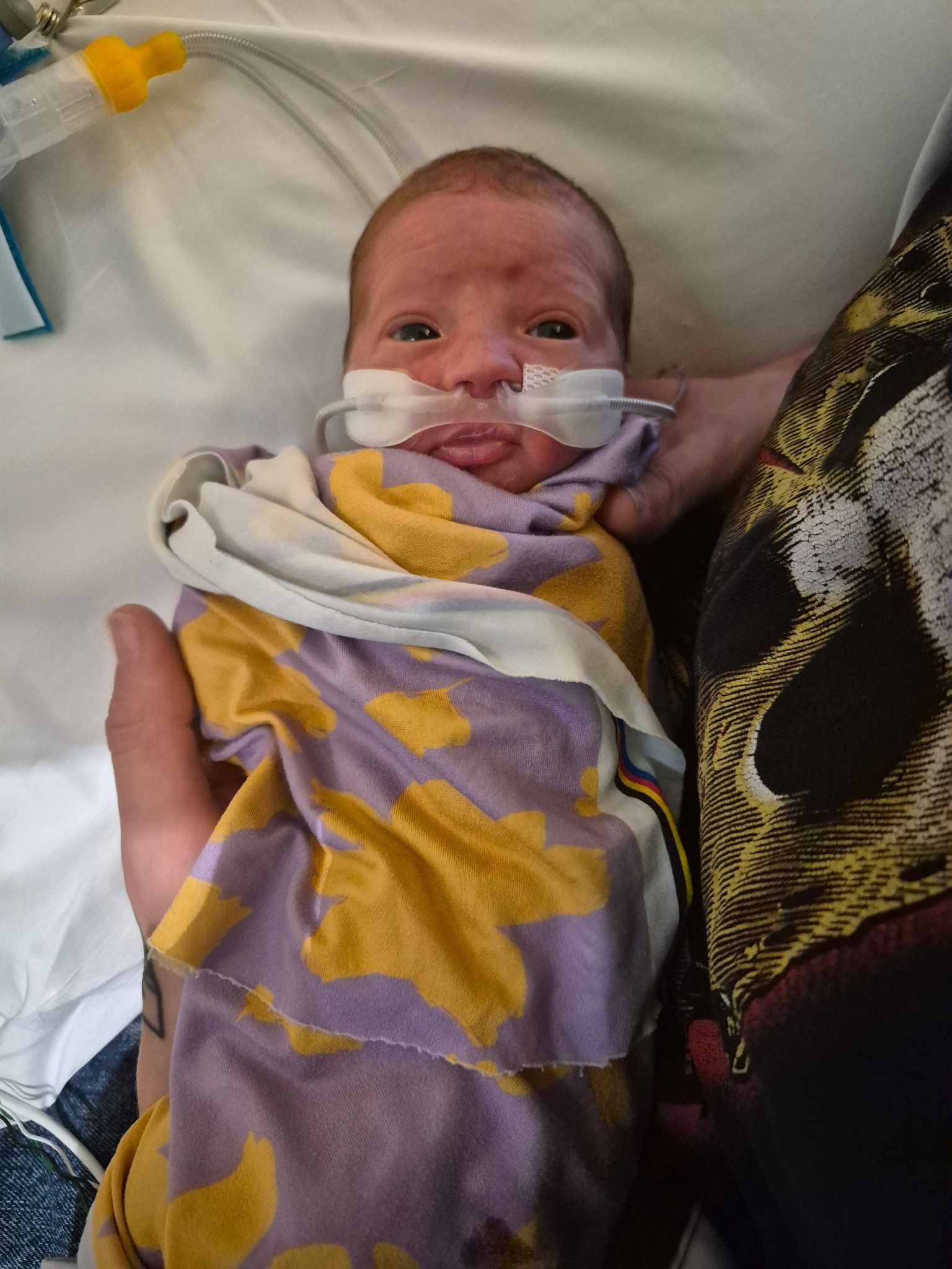 Support Baby Clementine's NICU Journey campaign photo, 7 of 8