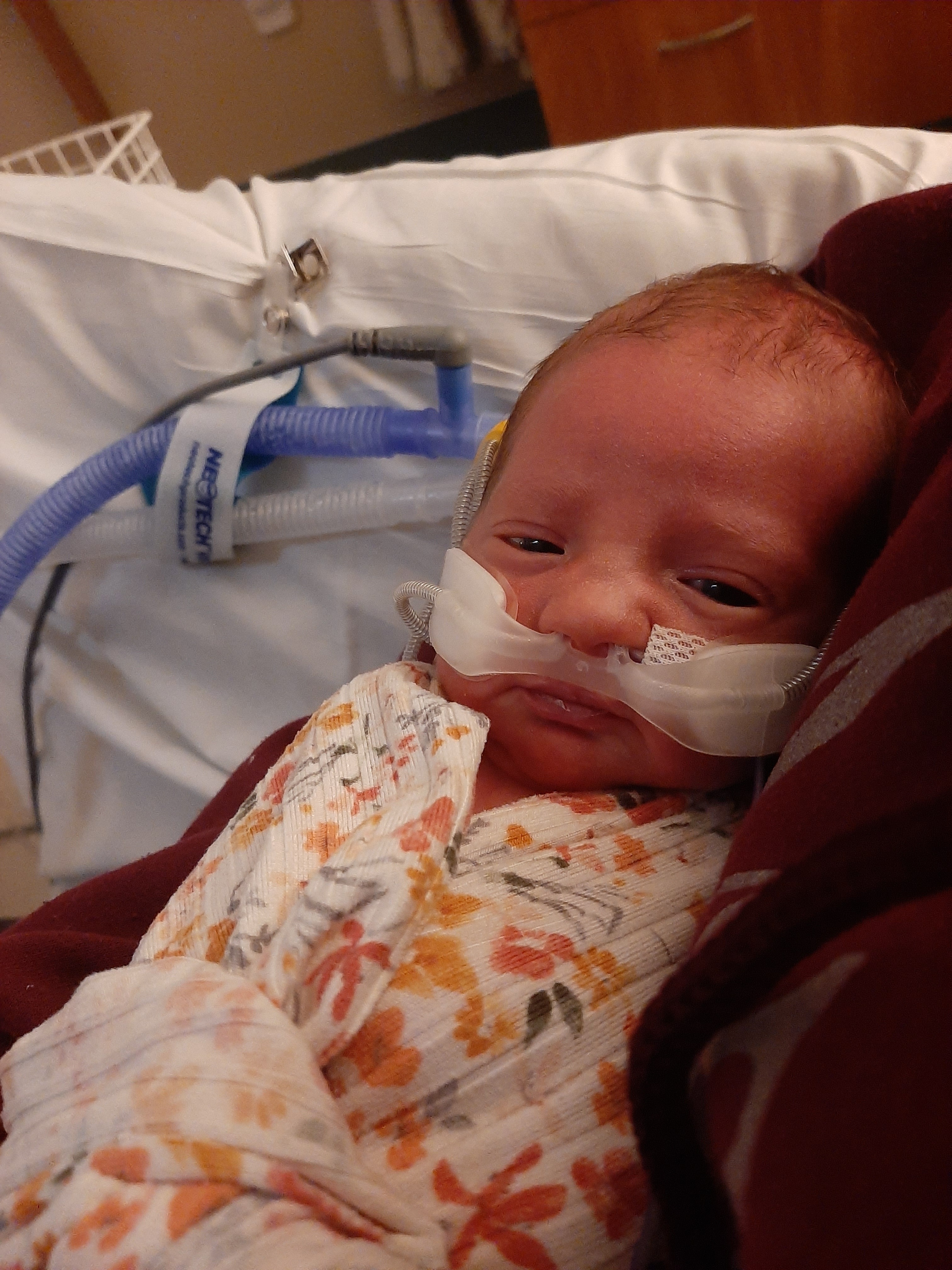 Support Baby Clementine's NICU Journey campaign photo, 5 of 8