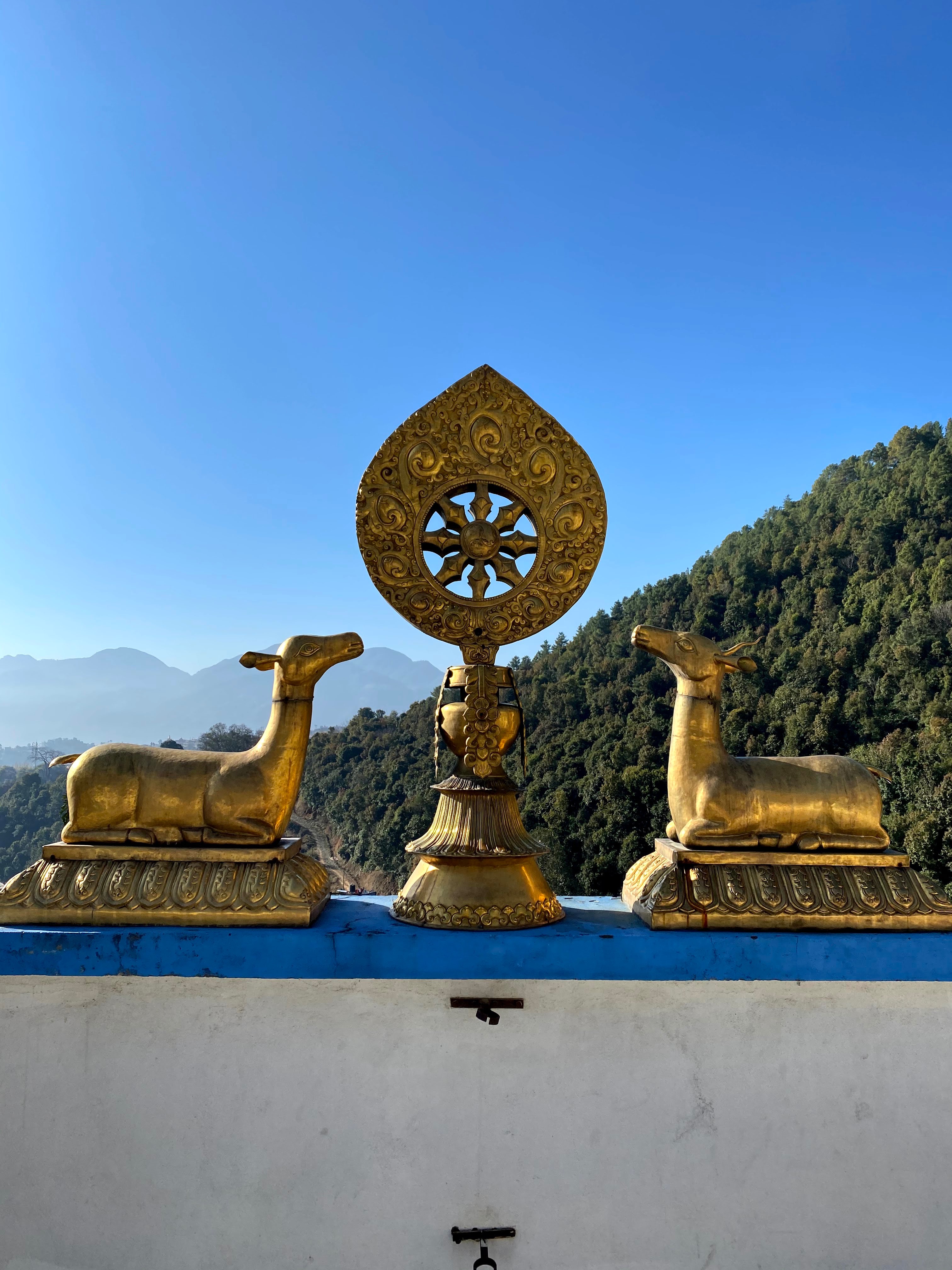 Support Oleg's Pilgrimage and Retreat in Nepal campaign photo, 2 of 5