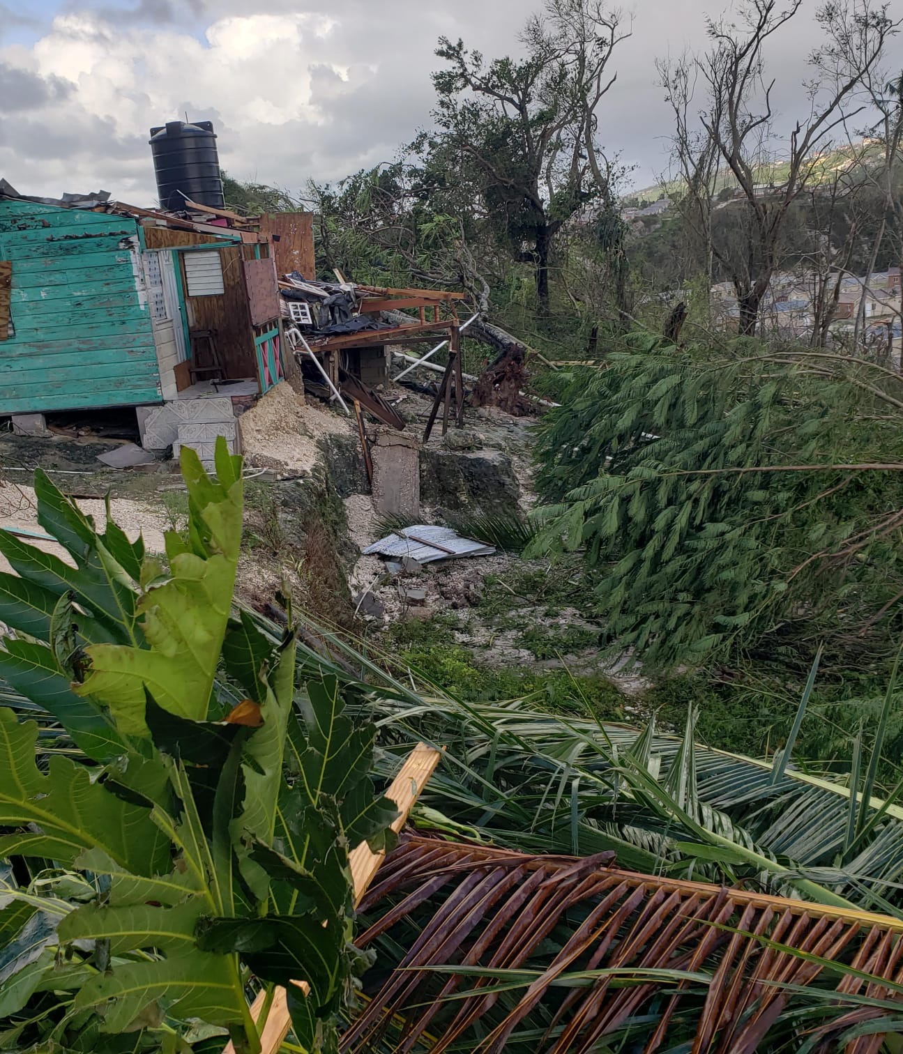 Support Tashoy's Family After Hurricane Melissa campaign photo, 6 of 8