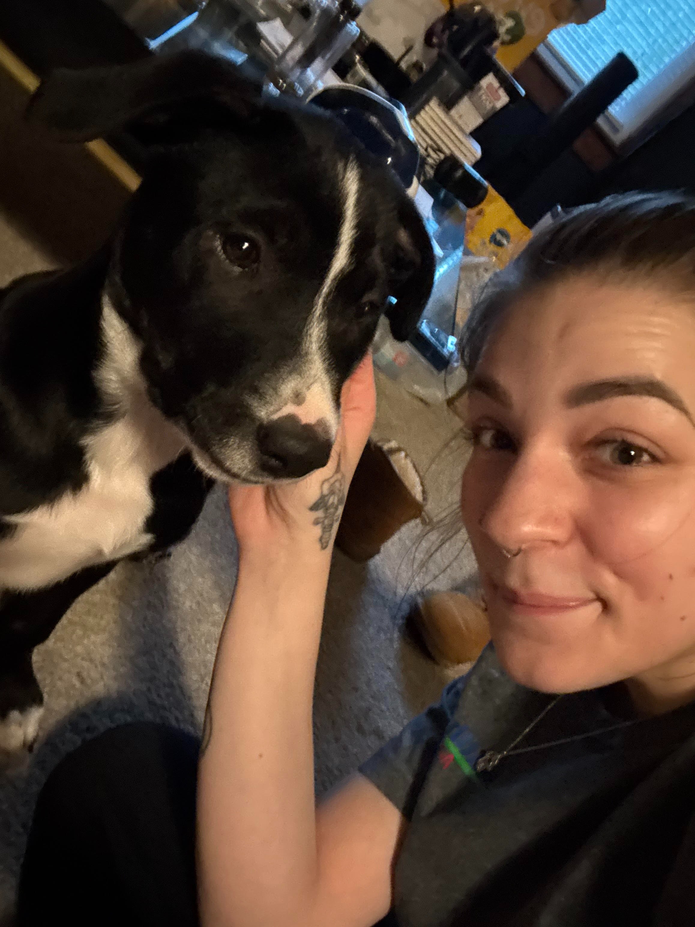 Help Suki Fight Parvovirus: Urgent Support Needed campaign photo, 5 of 7