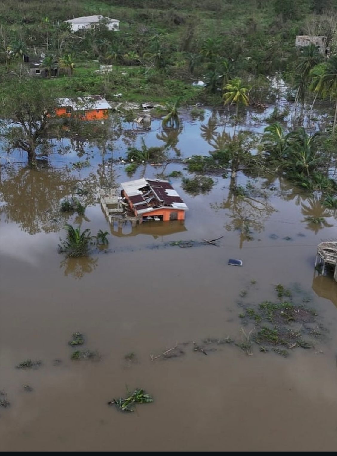 Hurricane Melissa campaign photo, 7 of 8