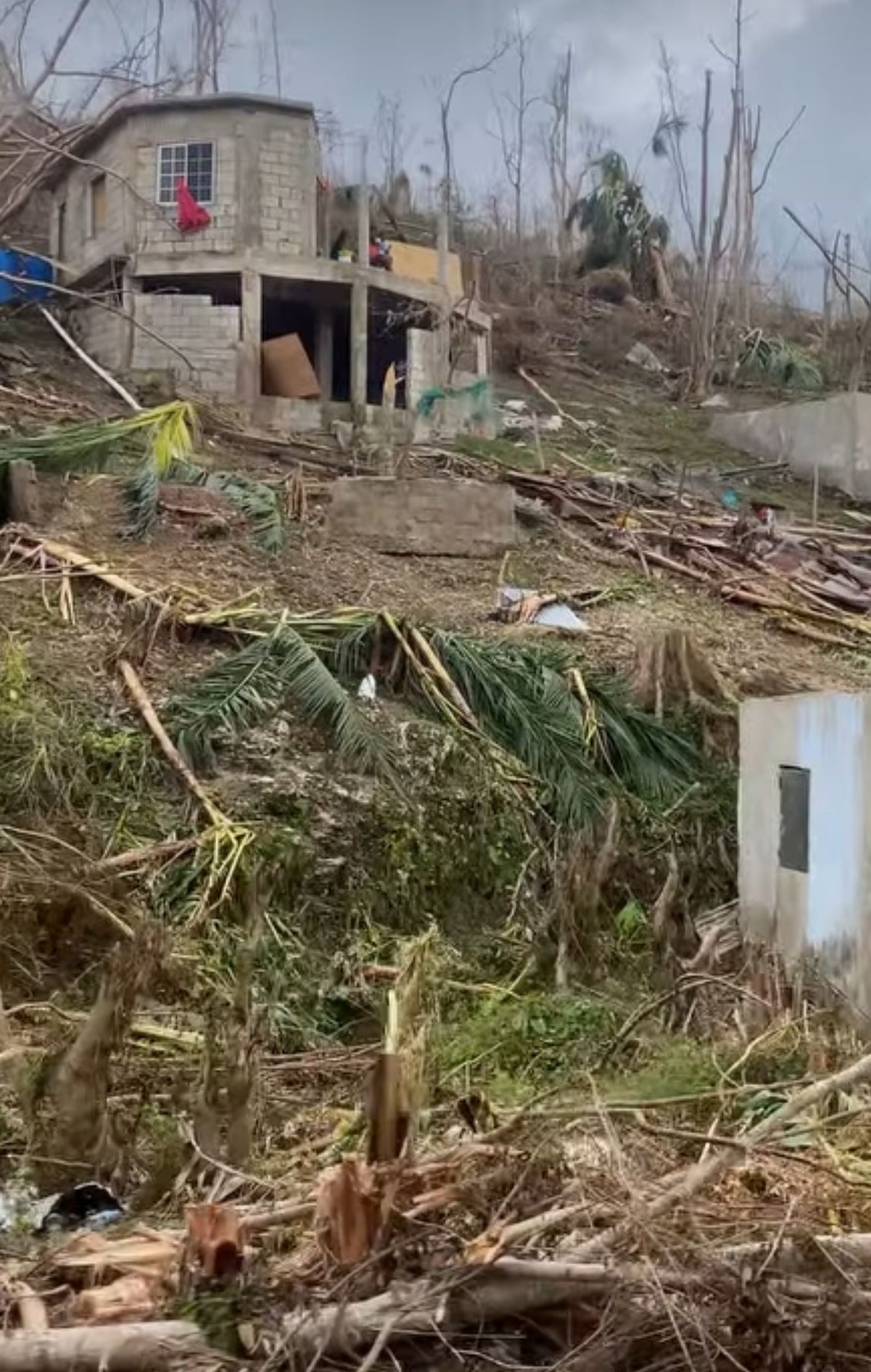 Hurricane Melissa campaign photo, 5 of 8