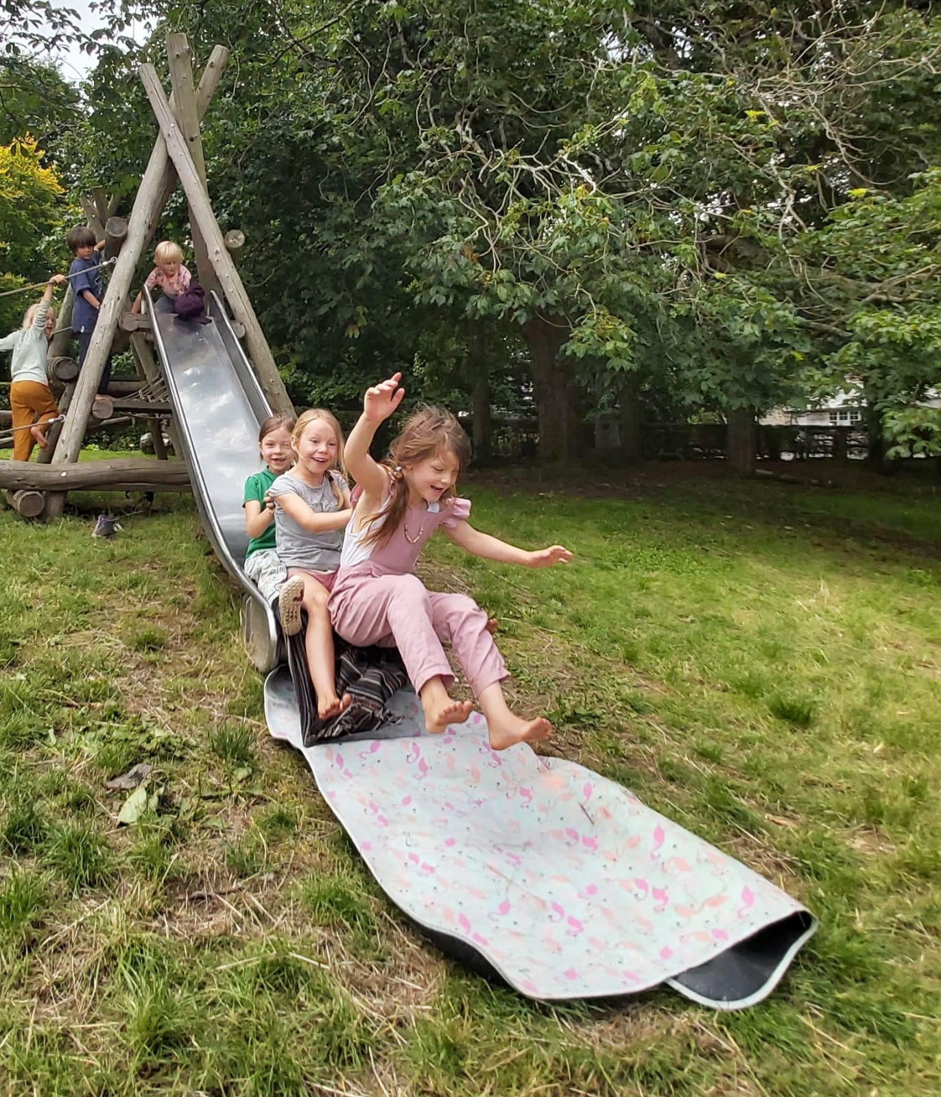 Bring back a Play Area at Dartington Hall Estate campaign photo, 2 of 5
