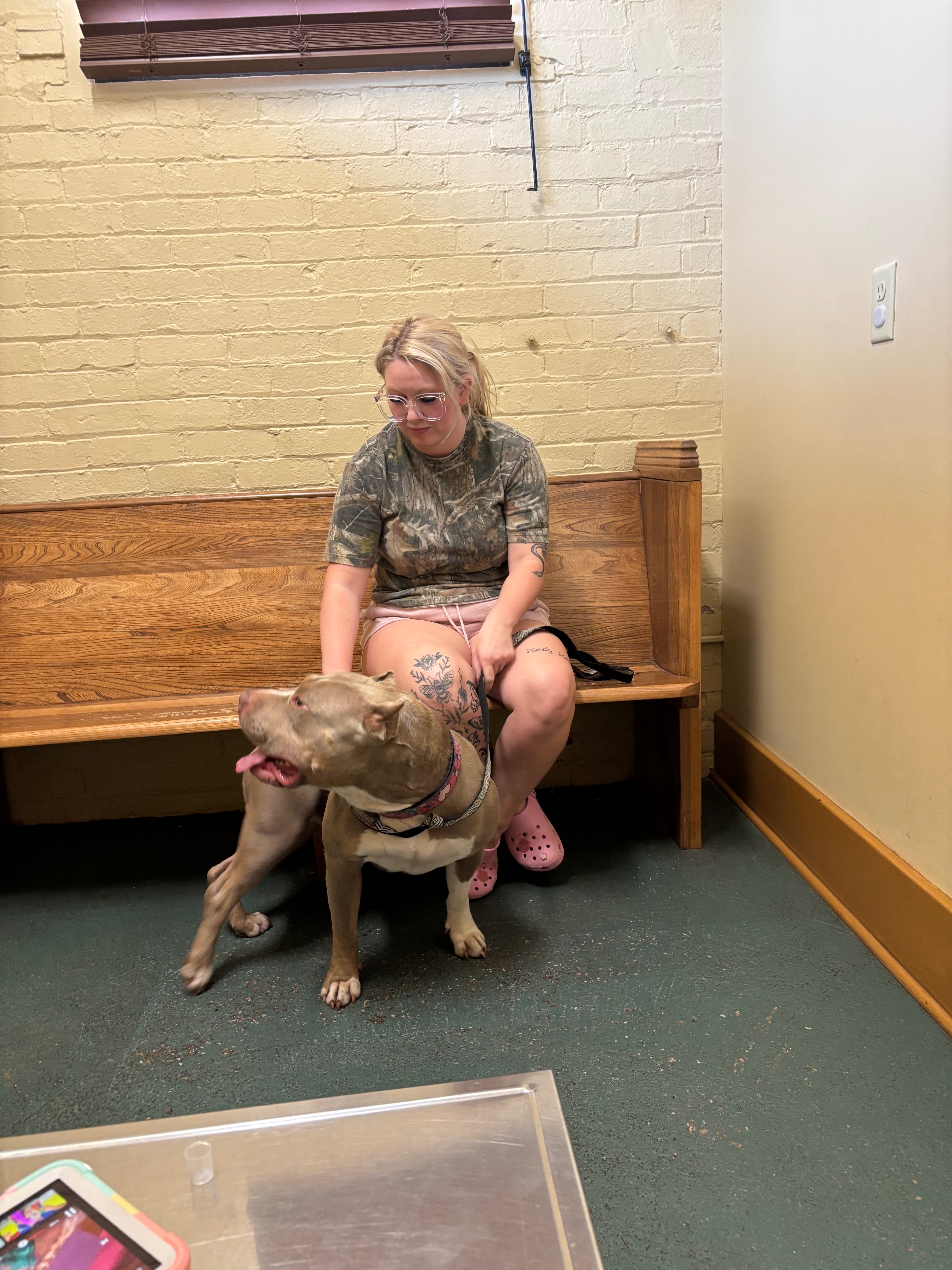 Urgent Help Needed for Dog's Recovery campaign photo, 4 of 8