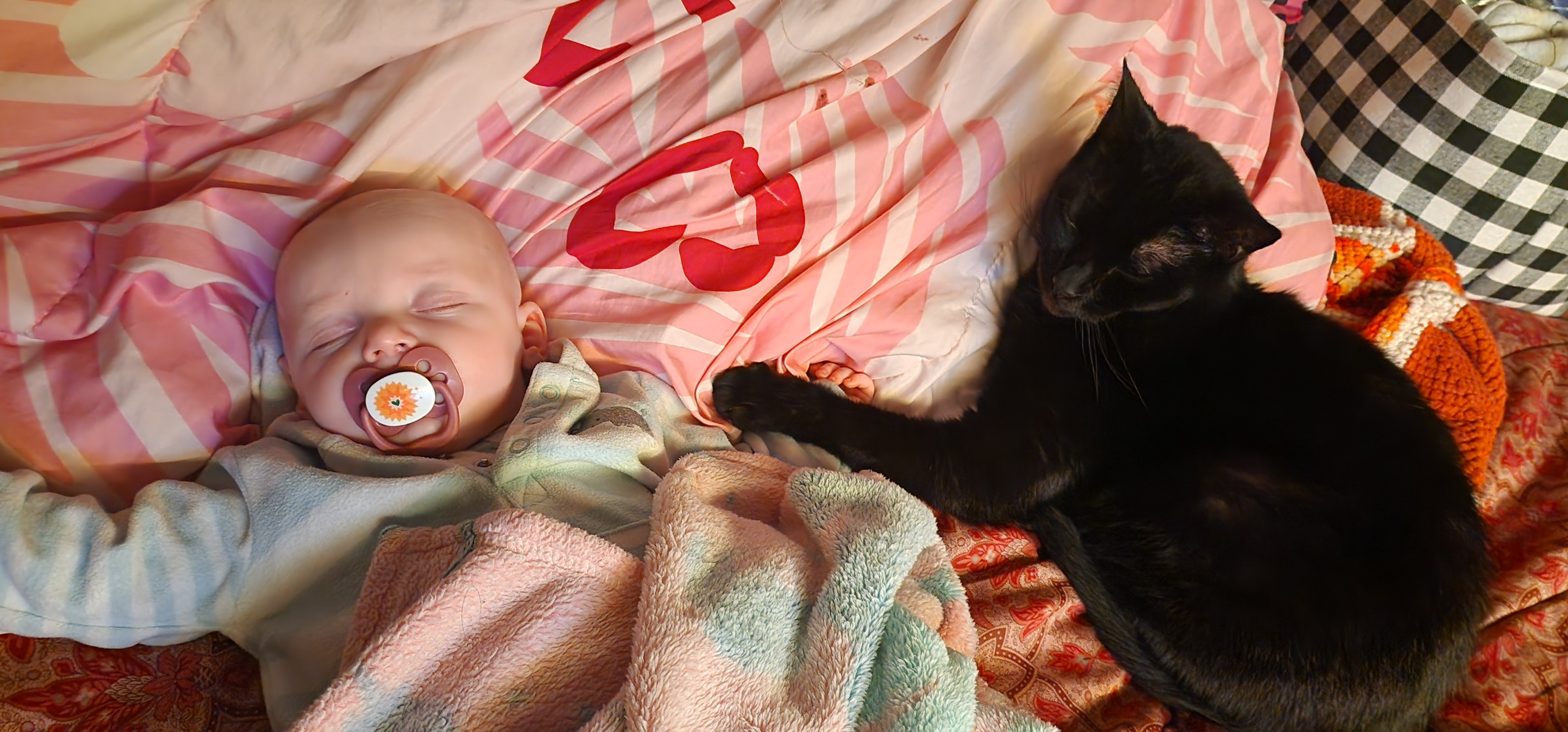 Support Peanut Butter's Emergency Treatment campaign photo, 2 of 7
