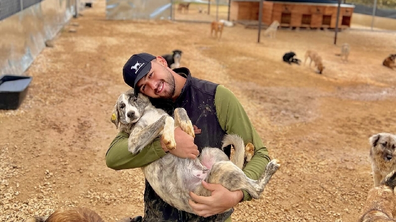 Donations for Emergencies & Vet Costs in Kosovo