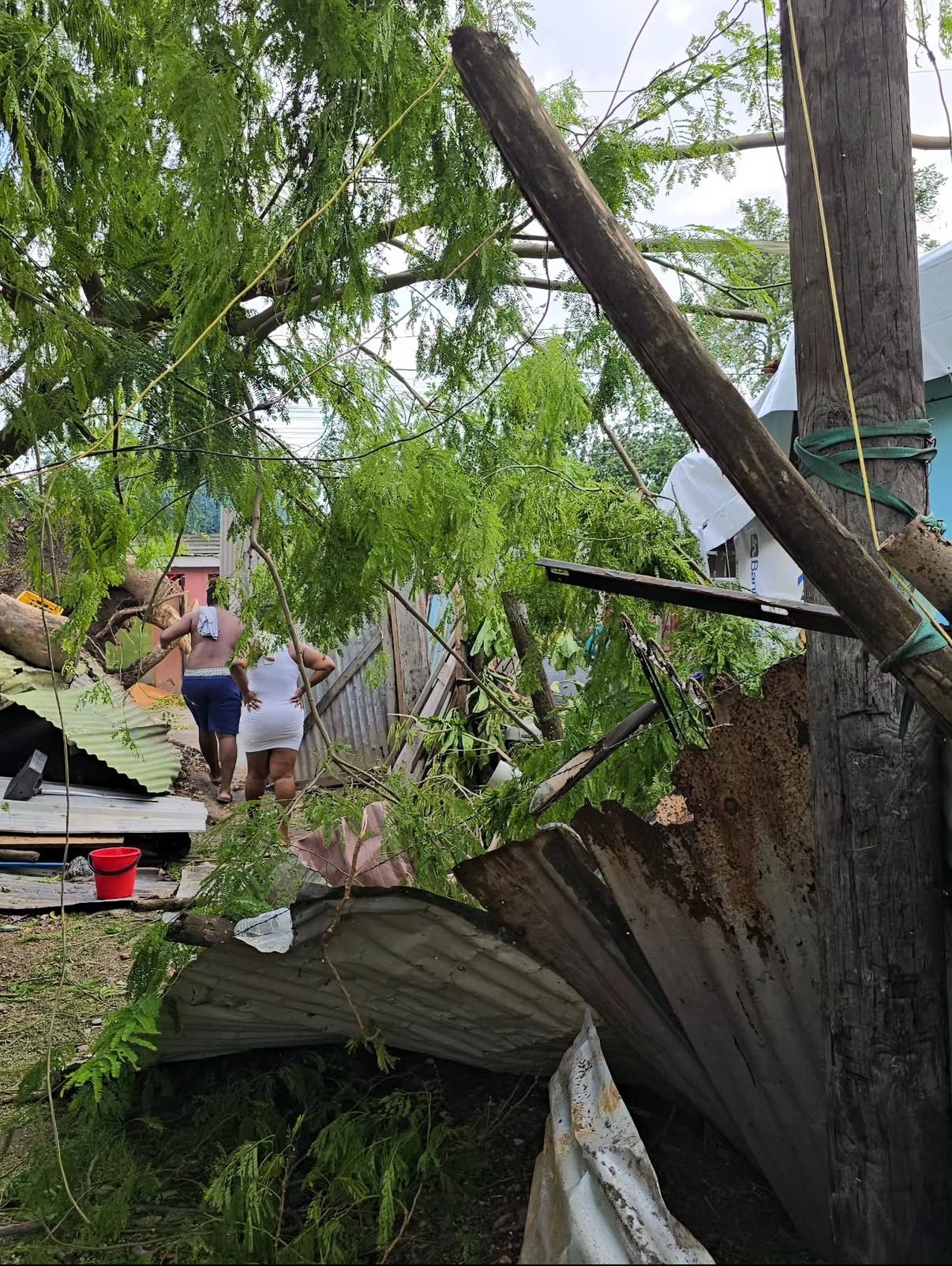 Support Britt’s Family Recover From Hurricane Melissa campaign photo, 5 of 8