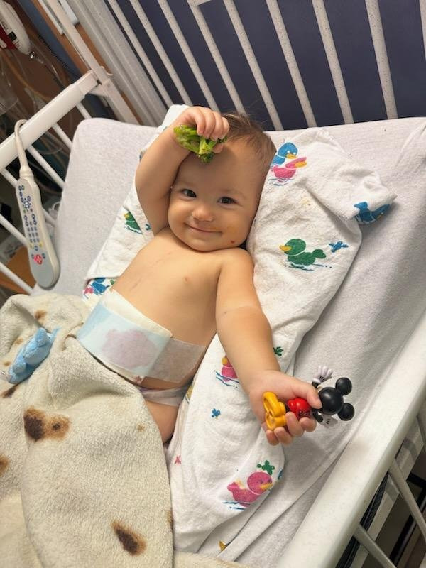 Aid Maverick's Fight: Emergency Surgery Costs campaign photo, 6 of 7