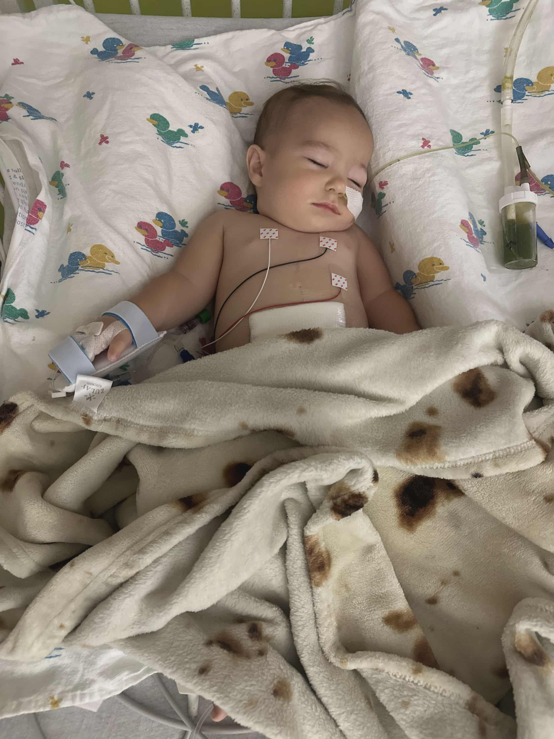 Aid Maverick's Fight: Emergency Surgery Costs campaign photo, 4 of 7