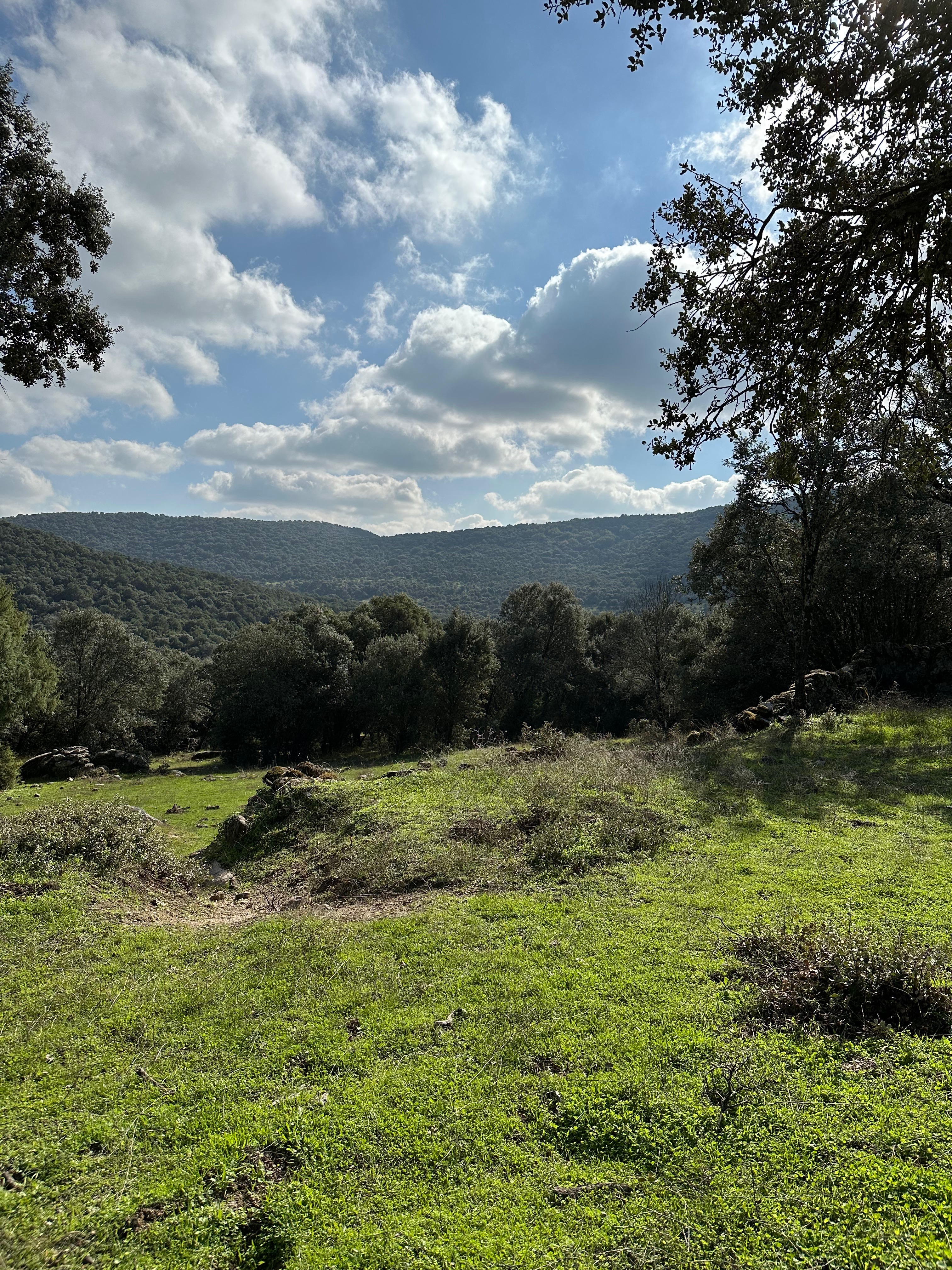 Regeneremos la Sociedad y la Naturaleza: 1er Terreno campaign photo, 6 of 8