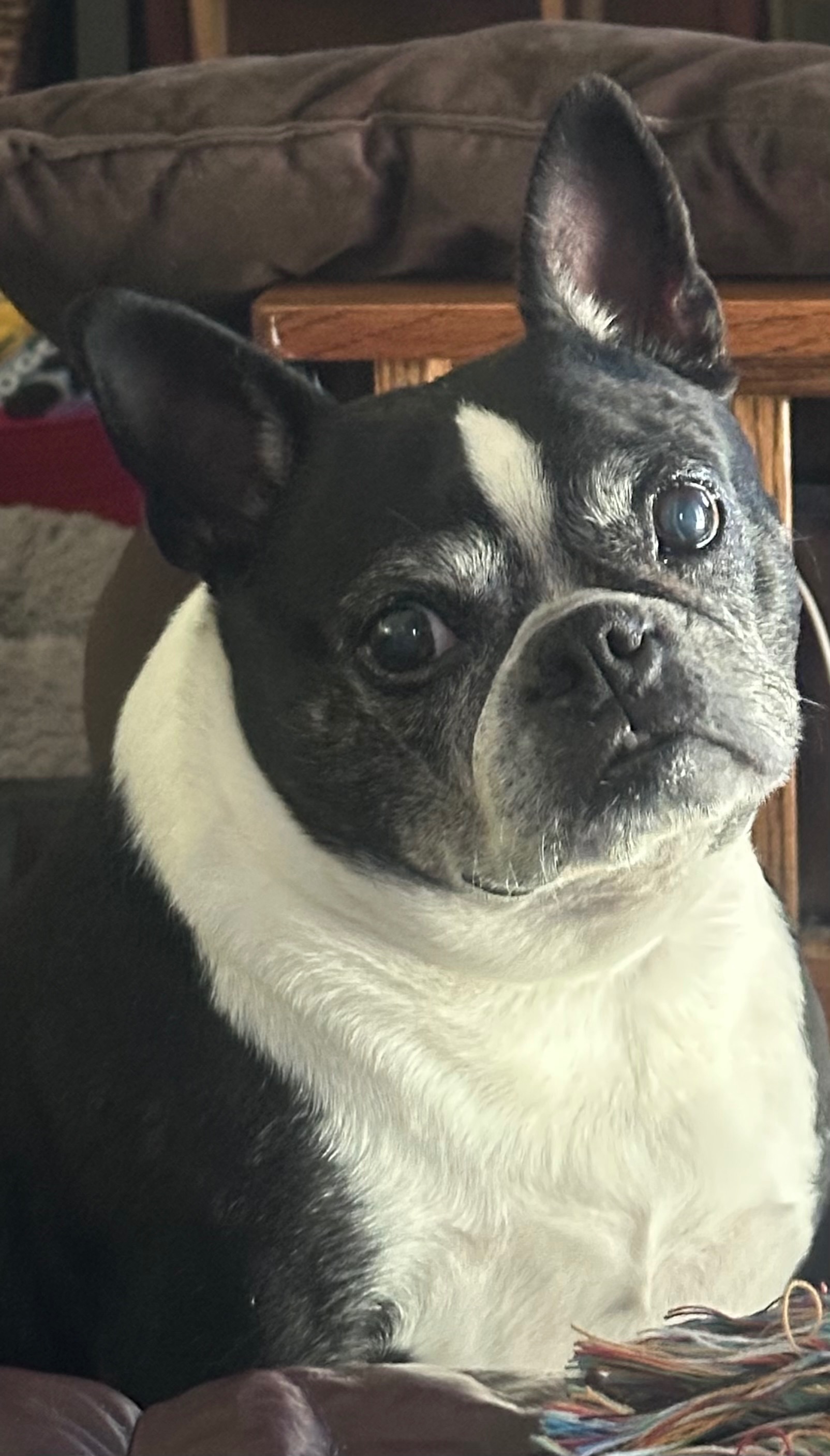 Lifesaving Liver Surgery- Ruby Bertha Marie campaign photo, 2 of 8