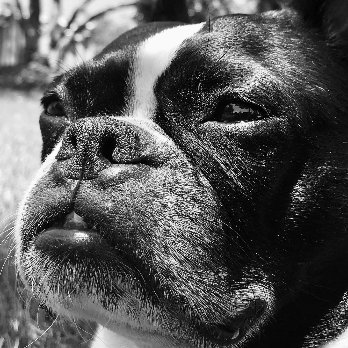 Lifesaving Liver Surgery- Ruby Bertha Marie campaign photo, 5 of 8