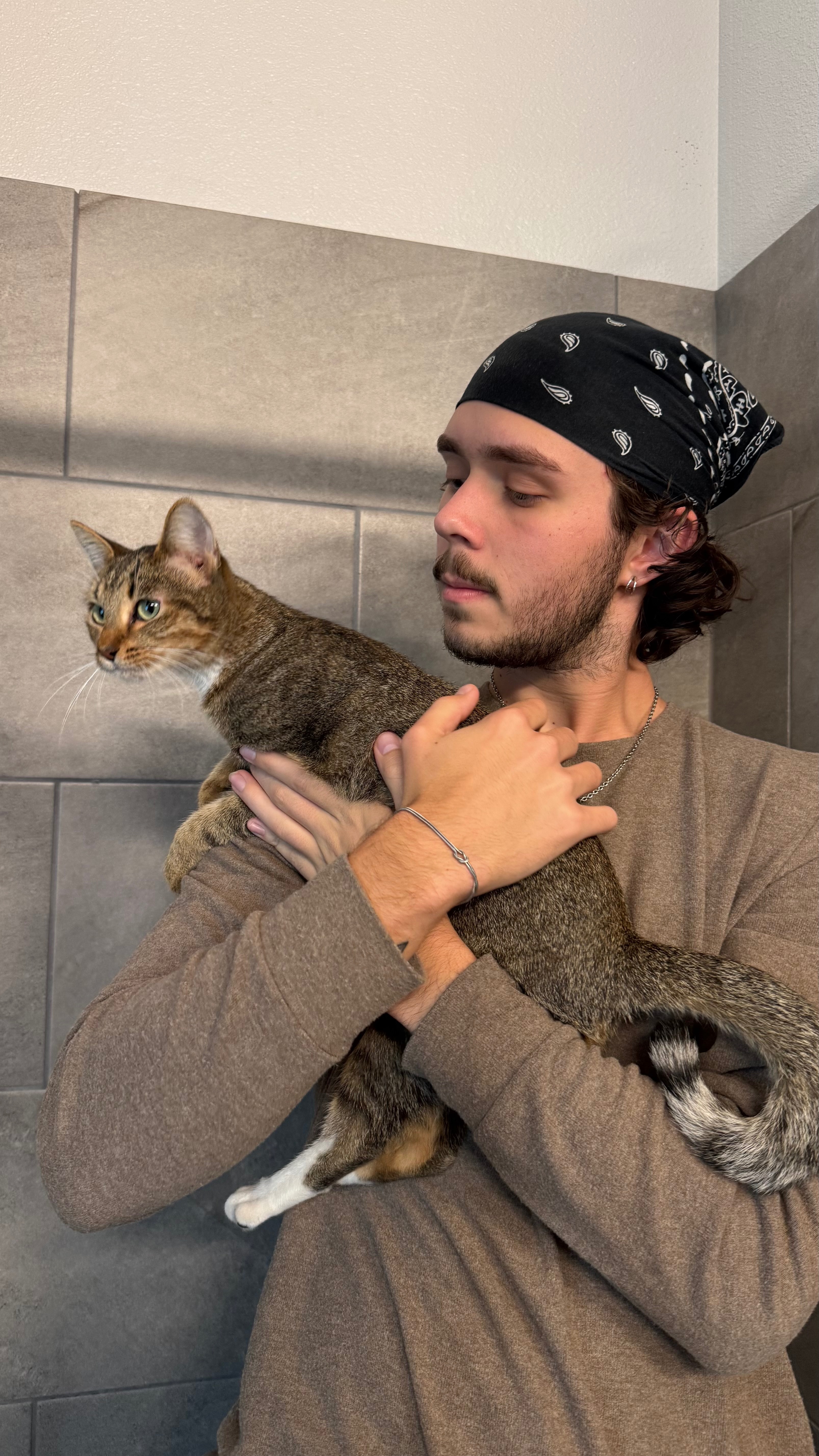 Help This Stray Kitten Get Medical Care campaign photo, 2 of 6