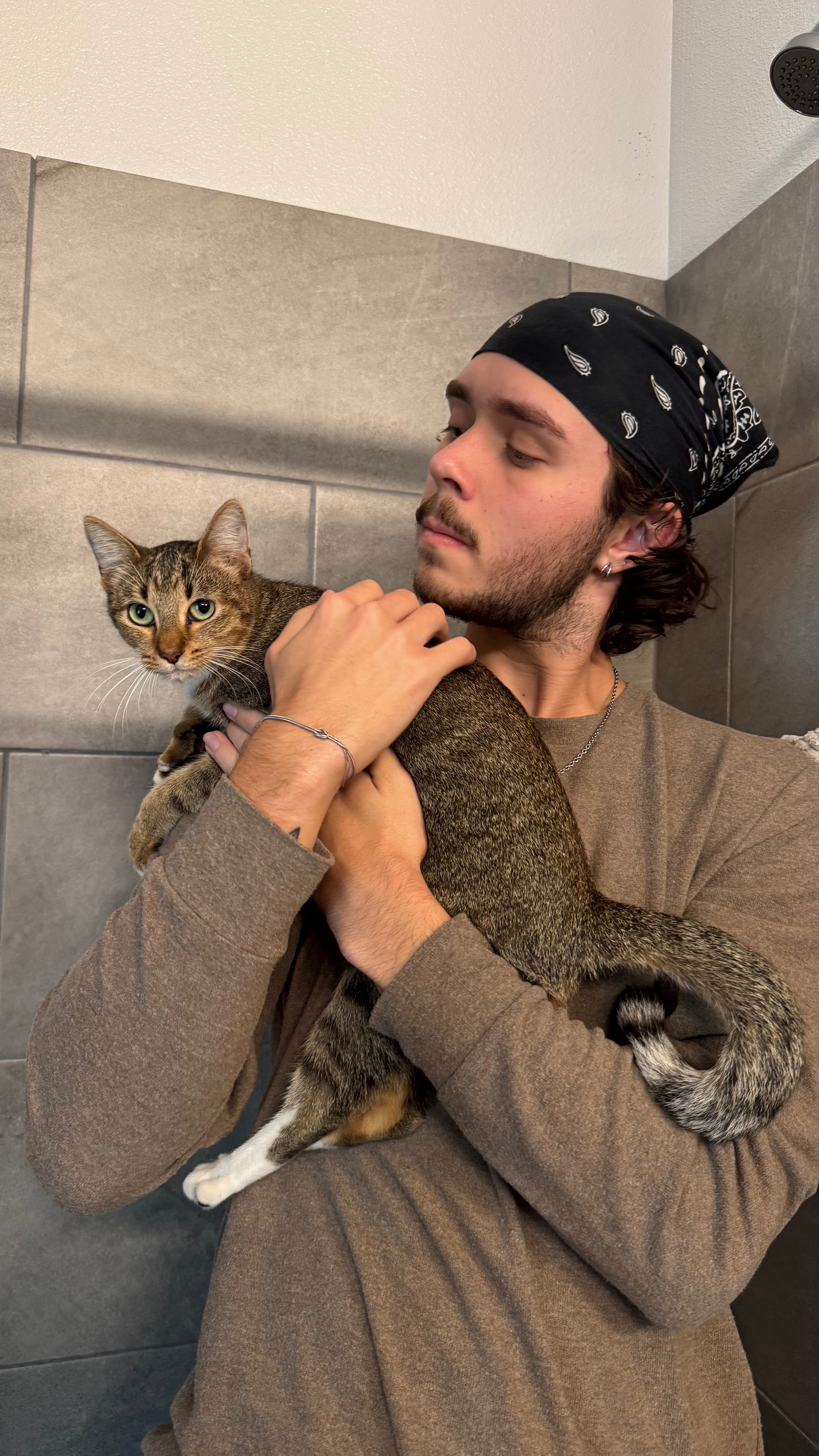 Help This Stray Kitten Get Medical Care campaign photo, 4 of 6