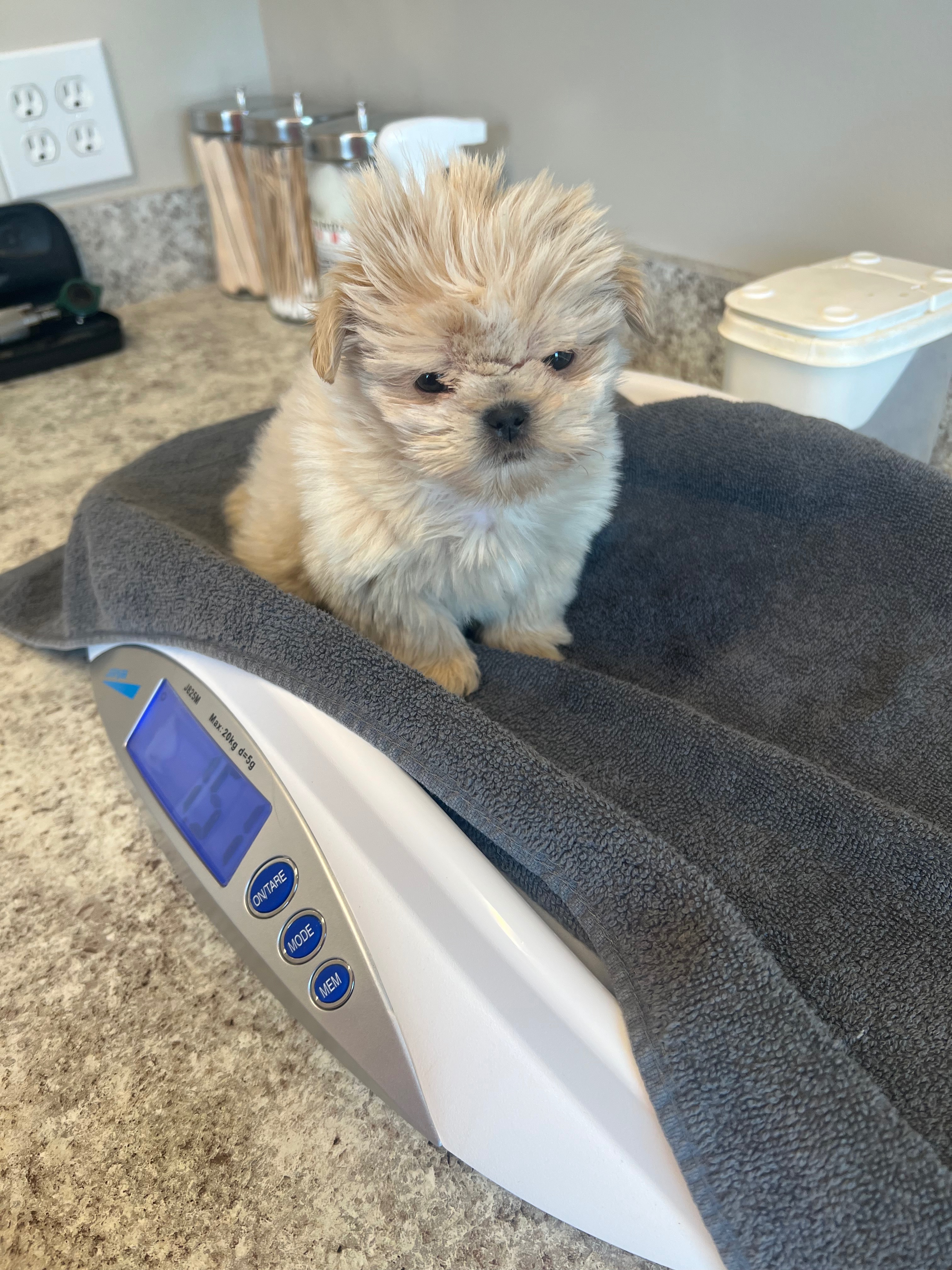 Help Save Cash: Urgent Medical Funds Needed campaign photo, 2 of 4