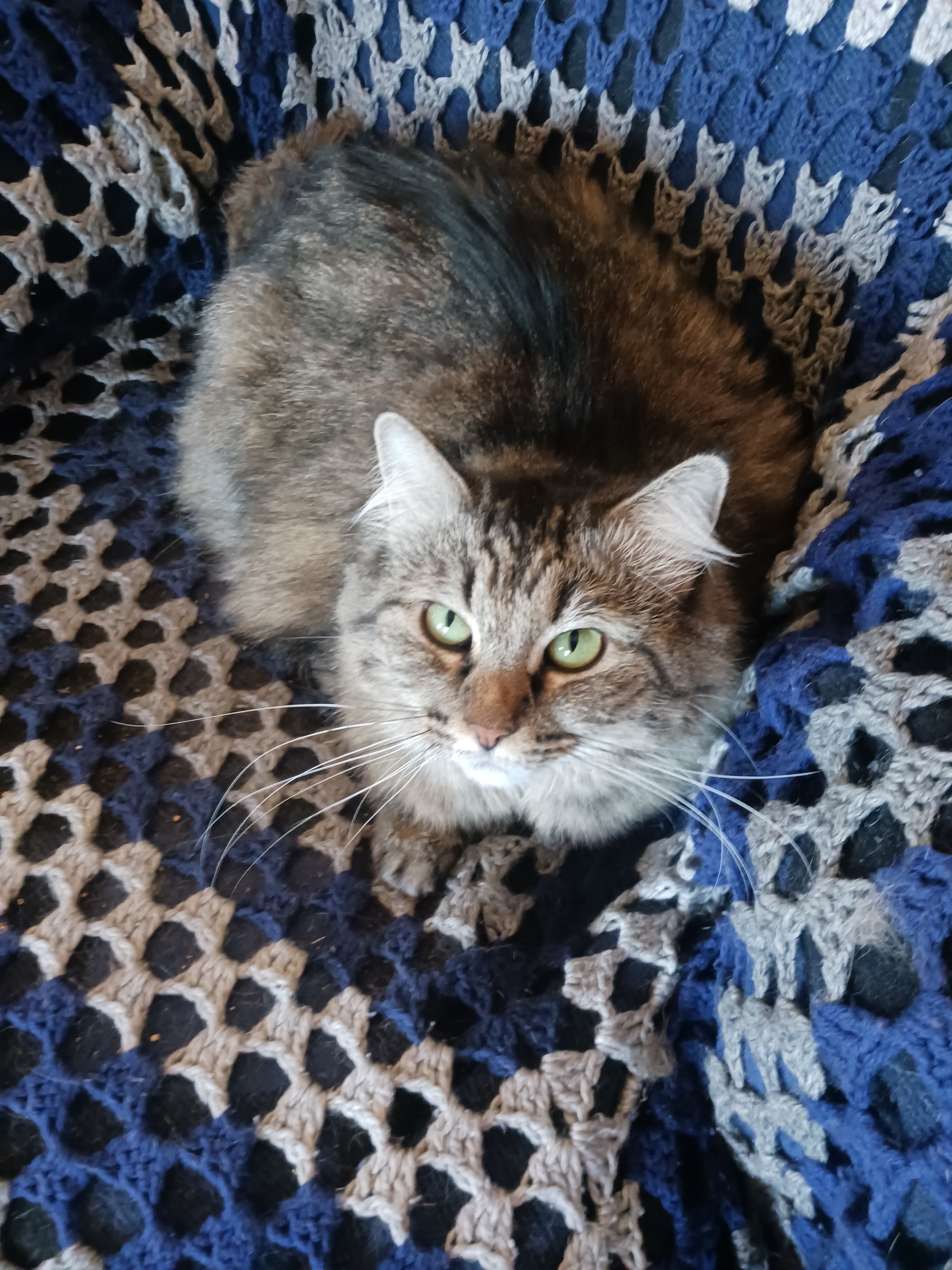 Help with Violet's Cremation Costs campaign photo, 2 of 7