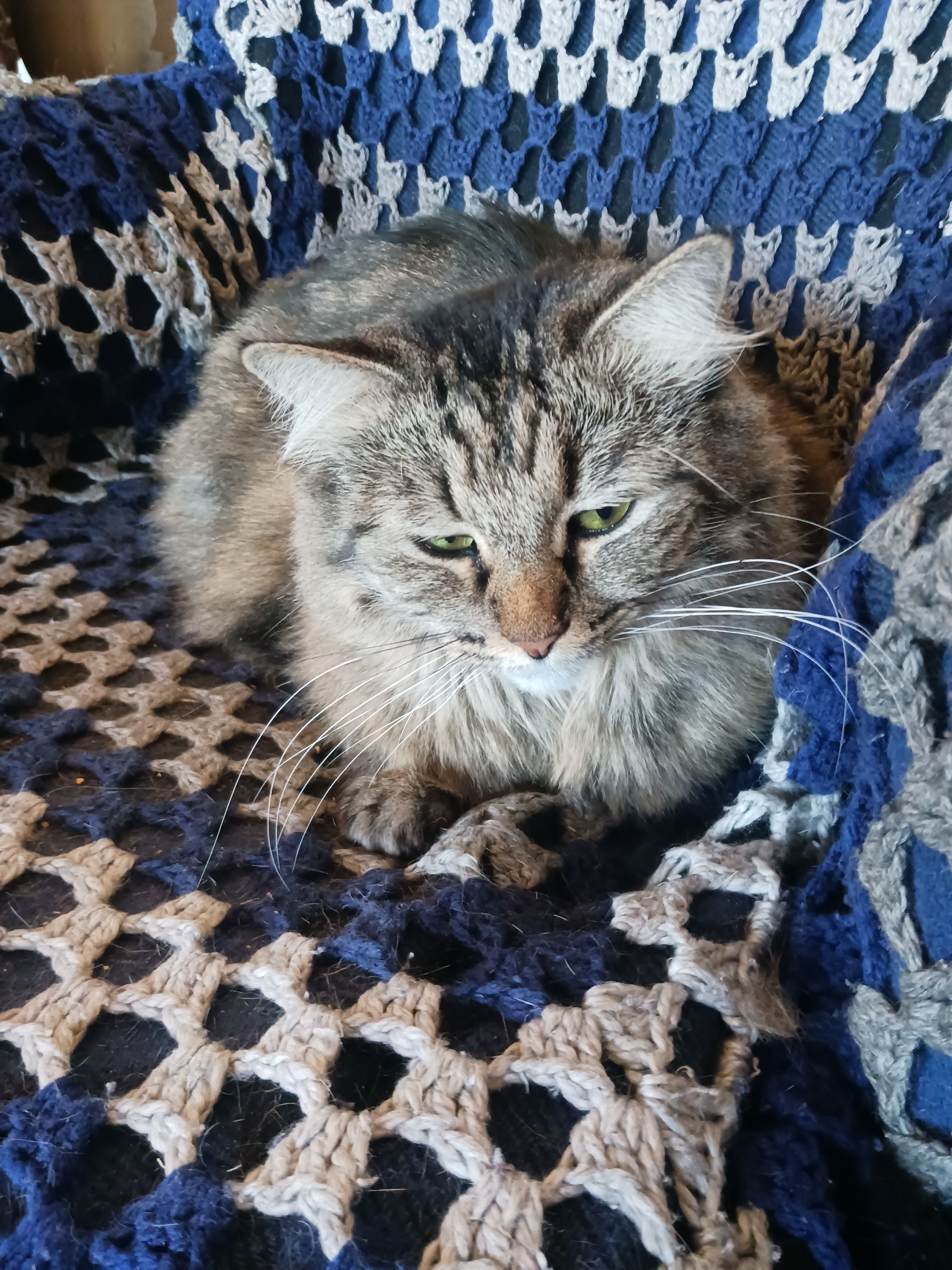 Help with Violet's Cremation Costs campaign photo, 5 of 7