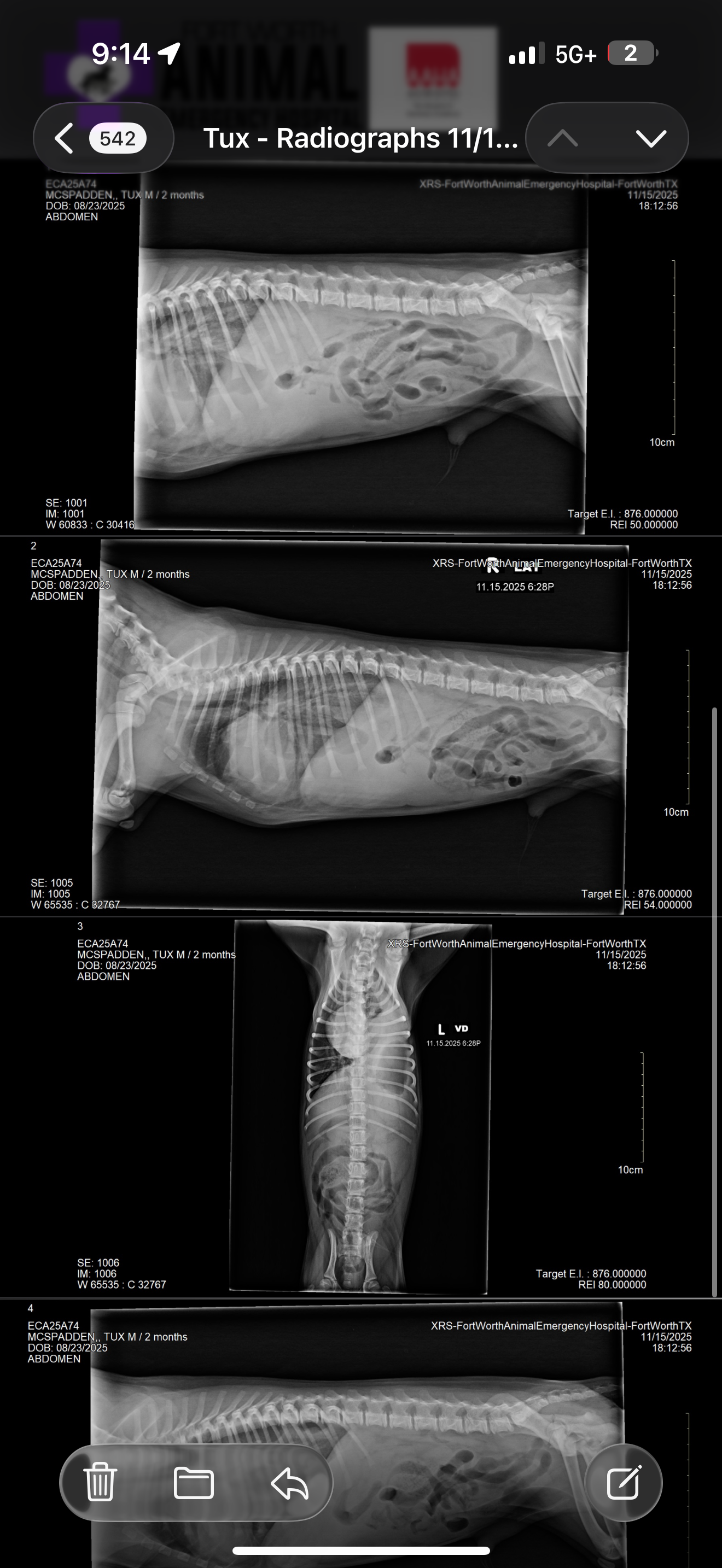Help Tux Get Life-Saving Surgery campaign photo, 6 of 7