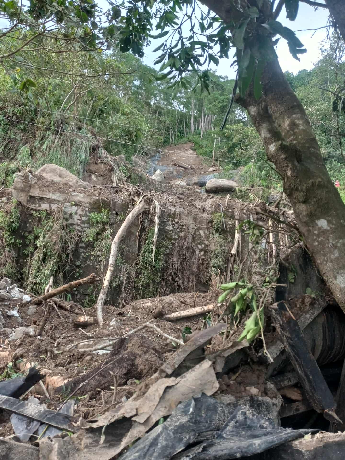 Support Filipino community affected by typhoon Uwan campaign photo, 7 of 7