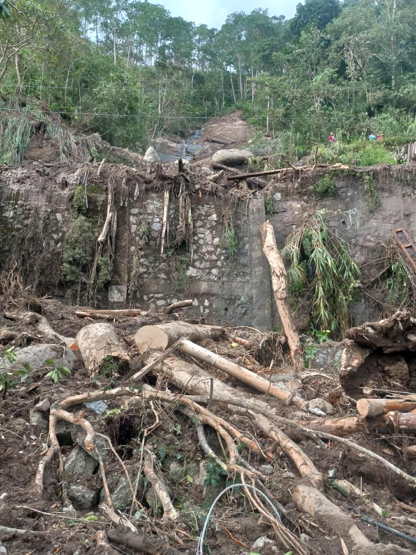 Support Filipino community affected by typhoon Uwan campaign photo, 5 of 7