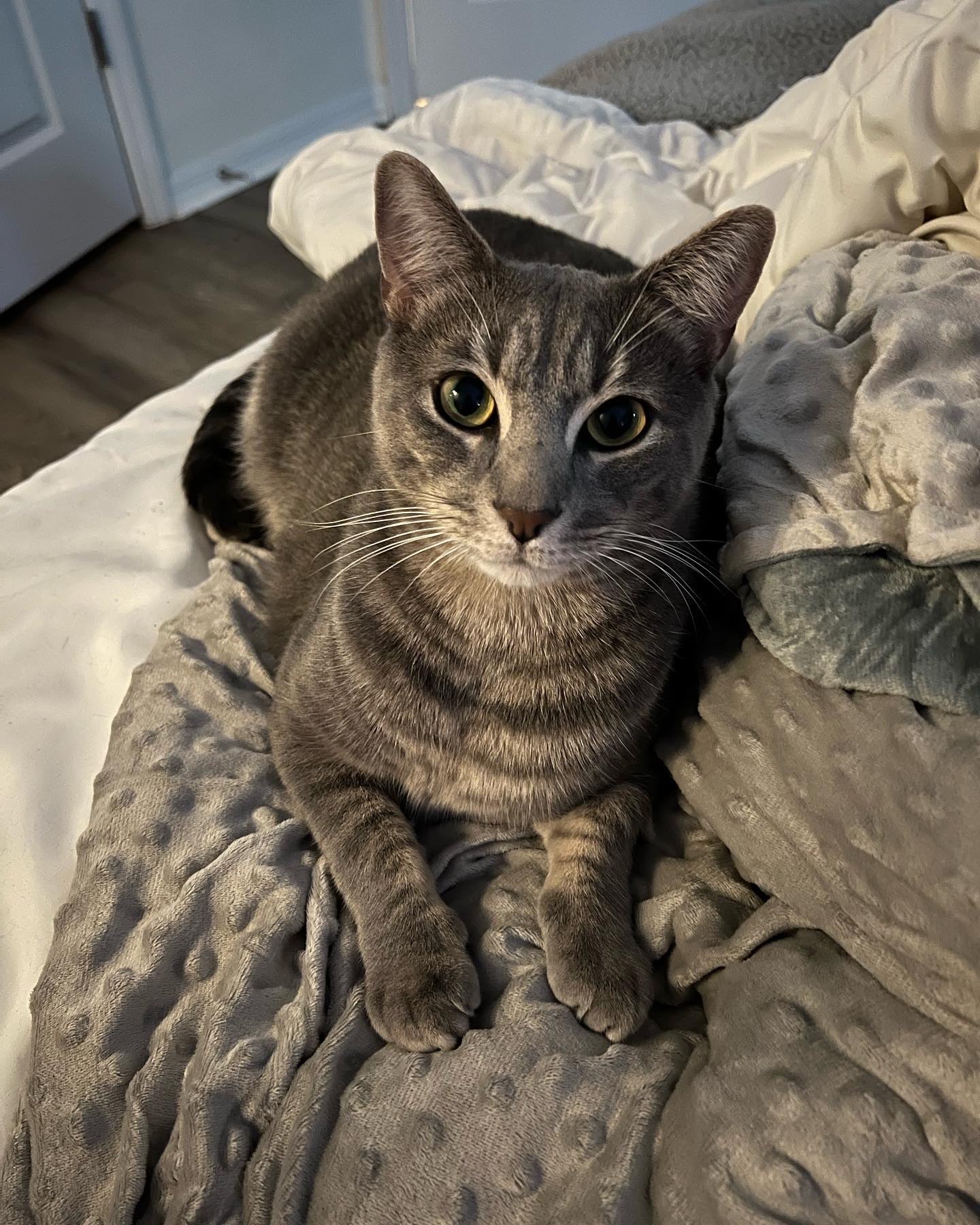 Urgent: Support Izabella's Search for Zoro campaign photo, 4 of 5