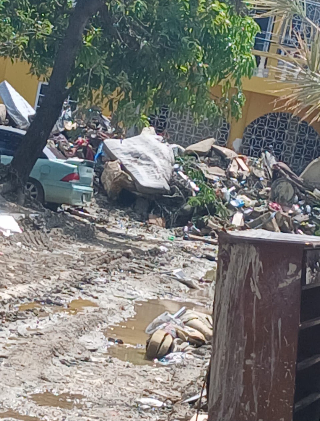 Help Alicia Rebuild After Hurricane Melissa campaign photo, 4 of 8