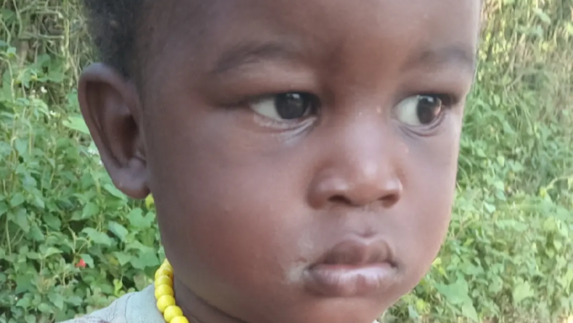 Help Provide Food, Rent, and School Fees photo