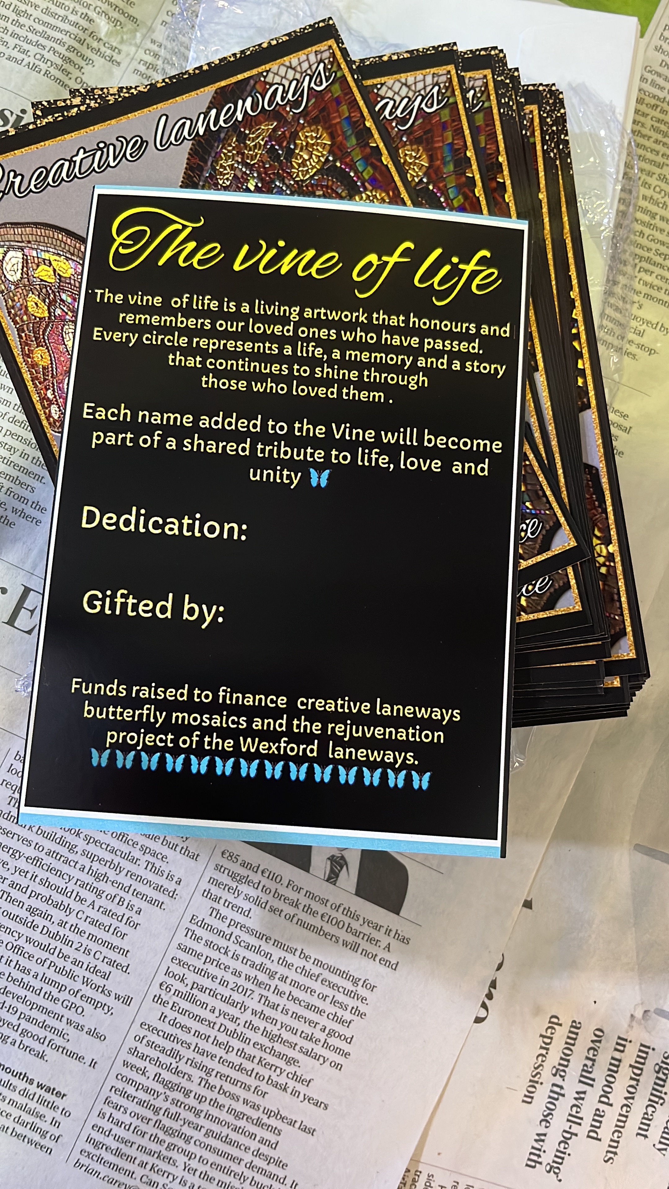 The Vine of Life -Wexford creative laneways project campaign photo, 4 of 8
