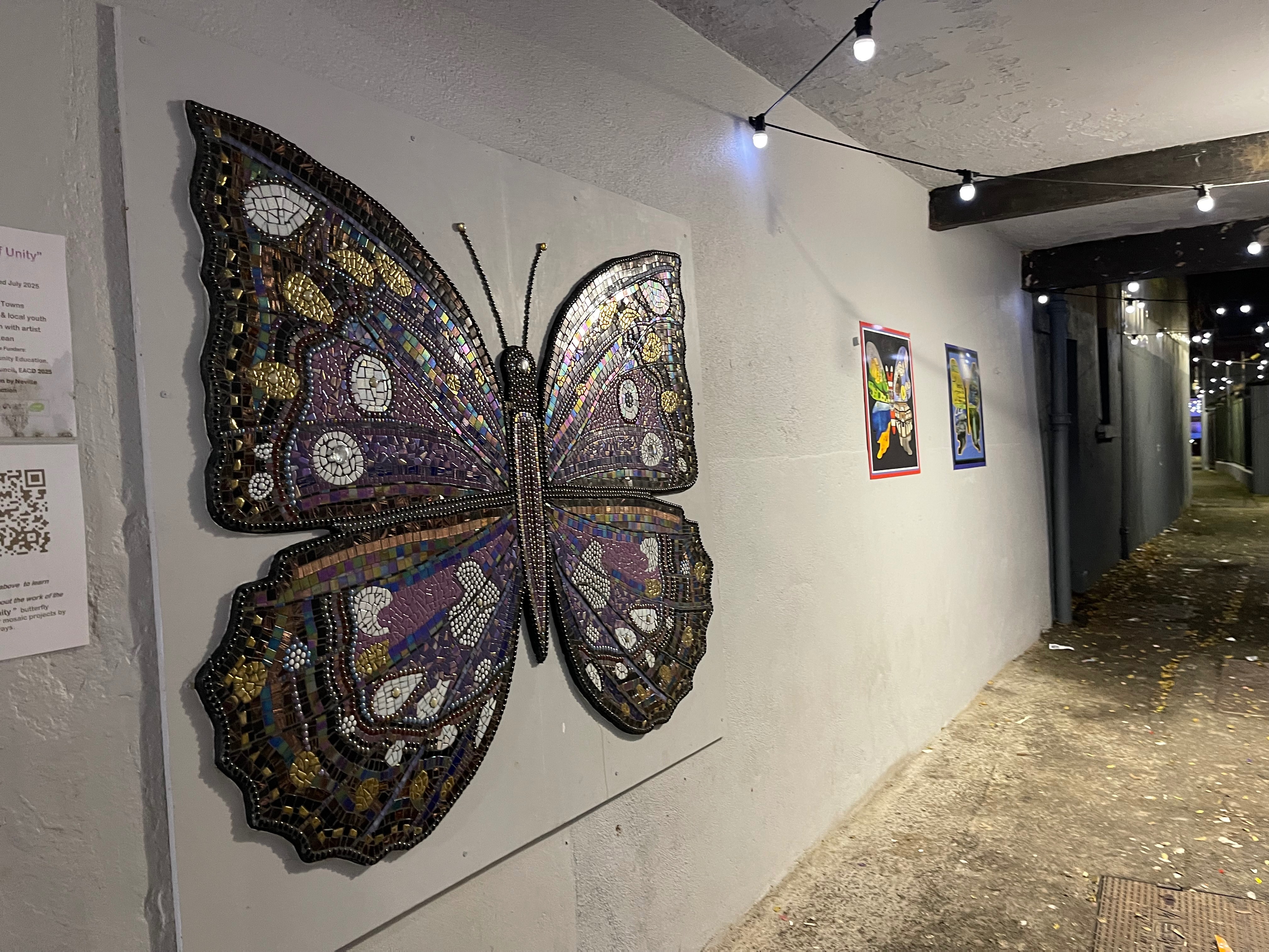 The Vine of Life -Wexford creative laneways project campaign photo, 5 of 8