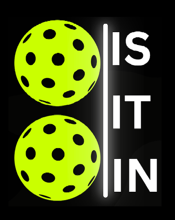 HS Seniors’ Pickleball Line-Calling System campaign photo, 5 of 7