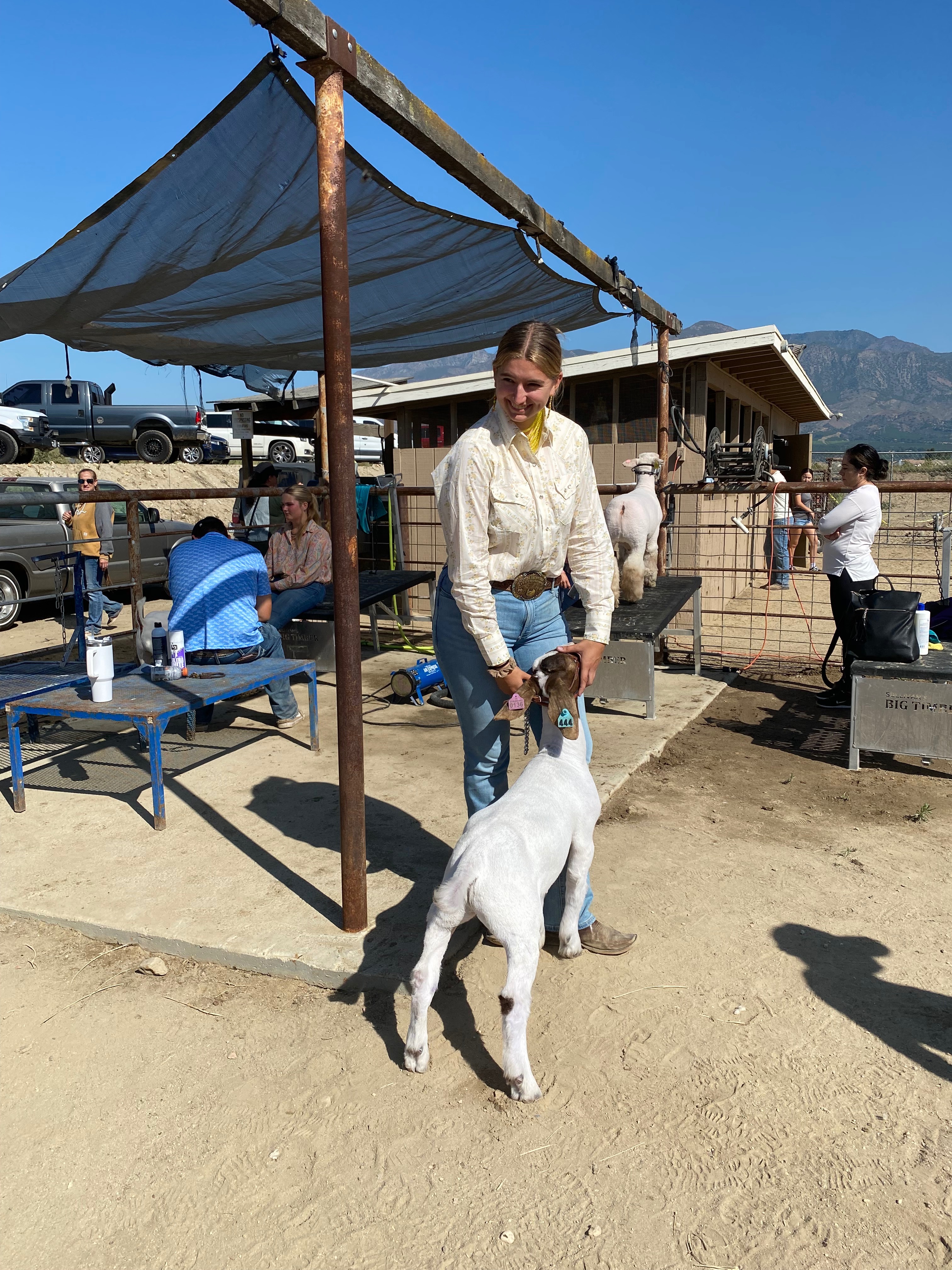 Help Support My 2026 Market Goat Project campaign photo, 2 of 7