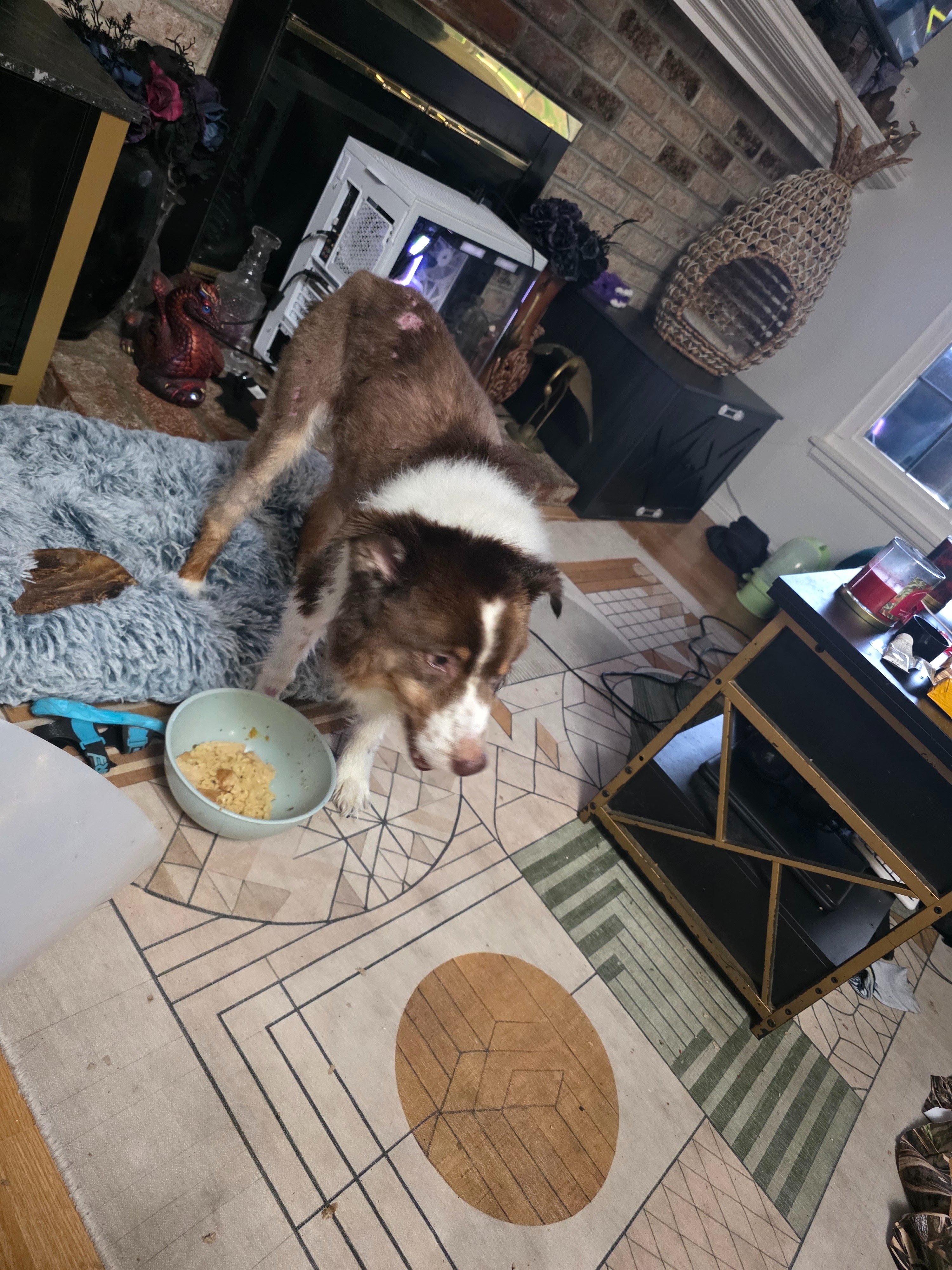 Help Chi Overcome Rare Staph Infection campaign photo, 5 of 6