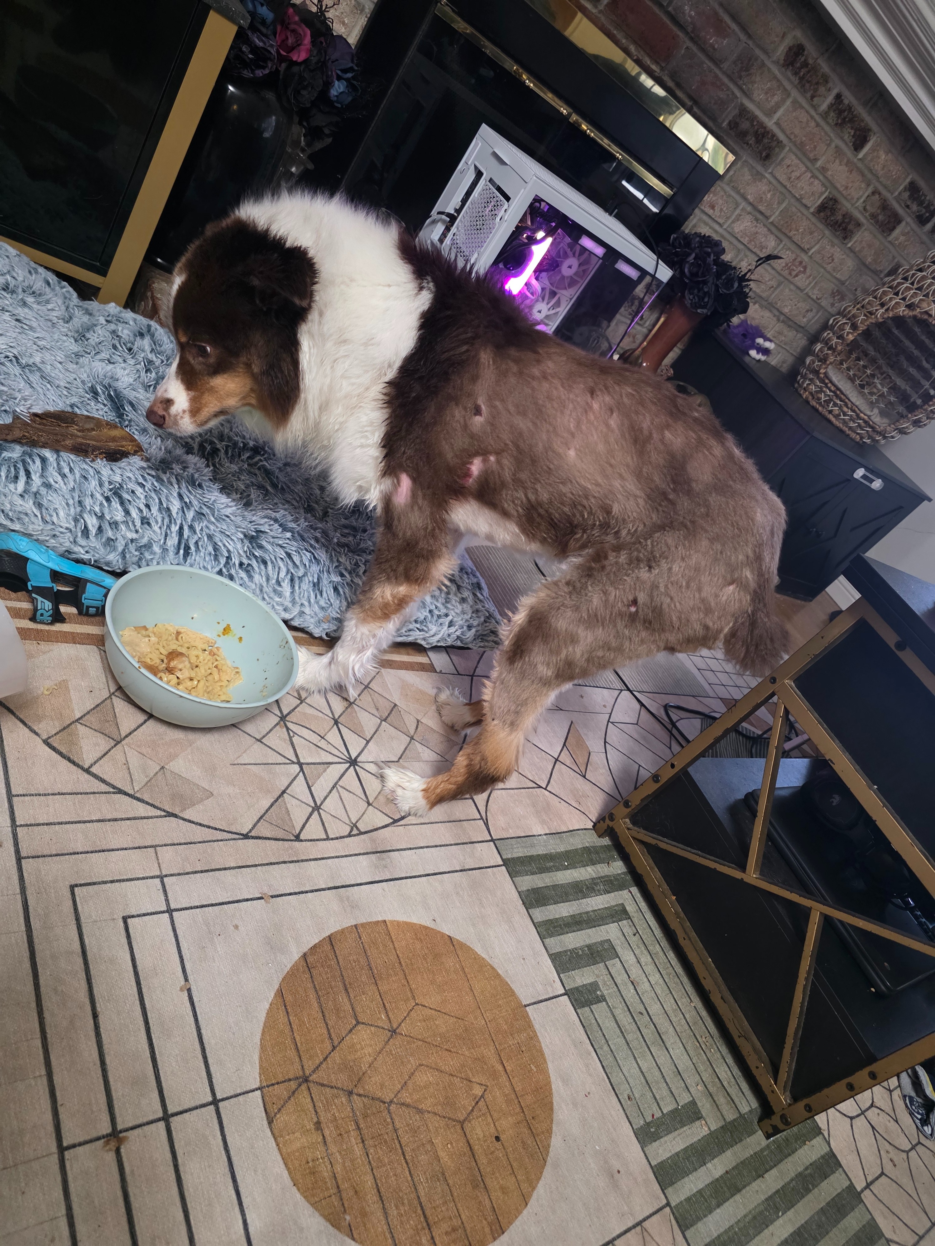 Help Chi Overcome Rare Staph Infection campaign photo, 2 of 6